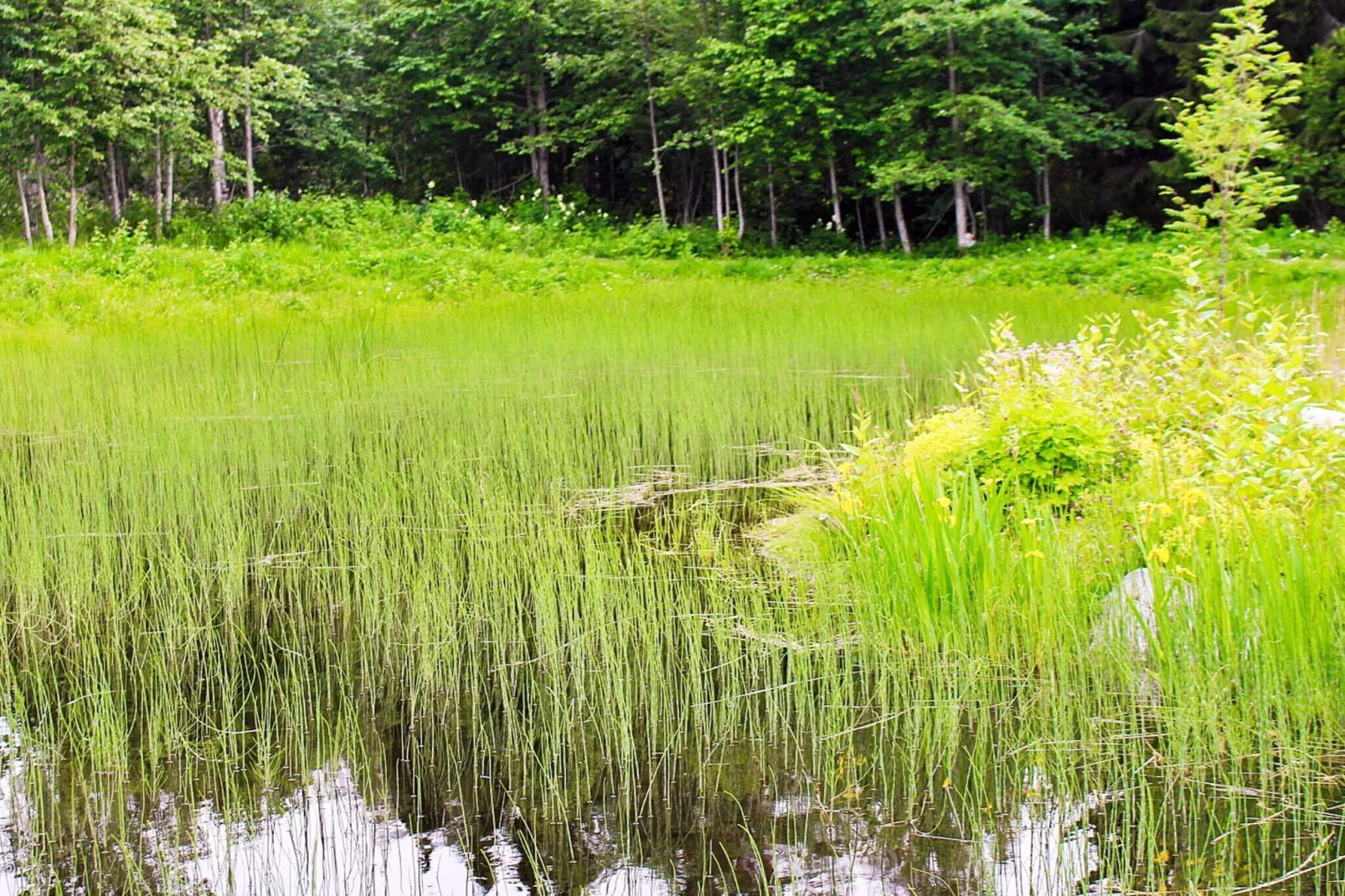 9 persoons vakantie huis in KÄLARNE-Buitenlucht