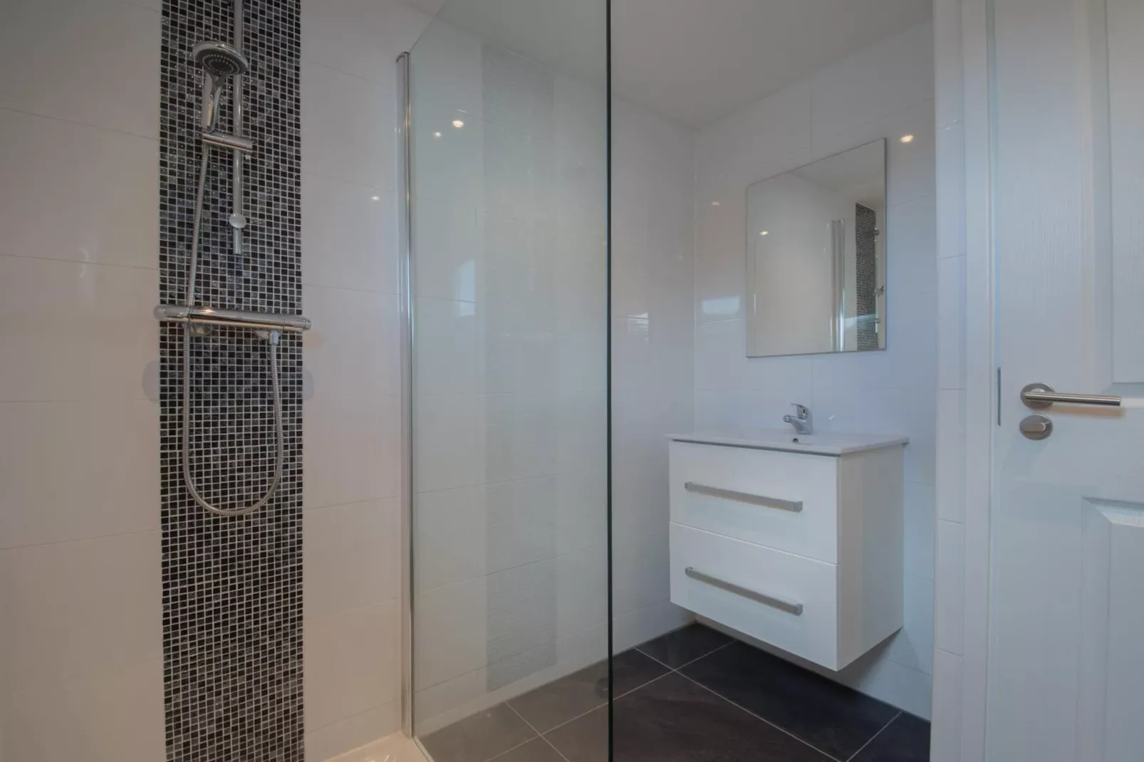 De Edammer  4 personen - Badkamer