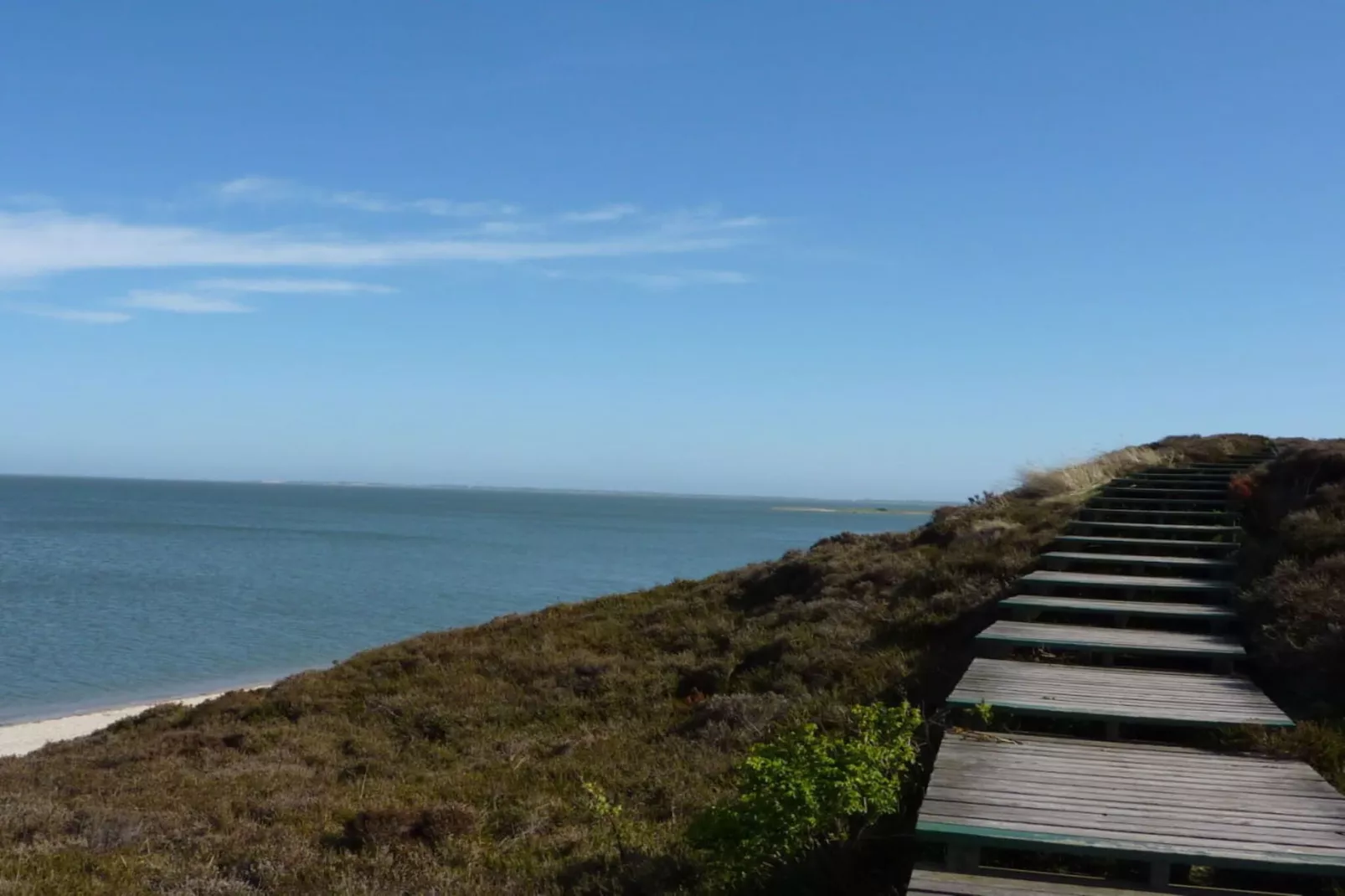 41327-Gebieden zomer 5km