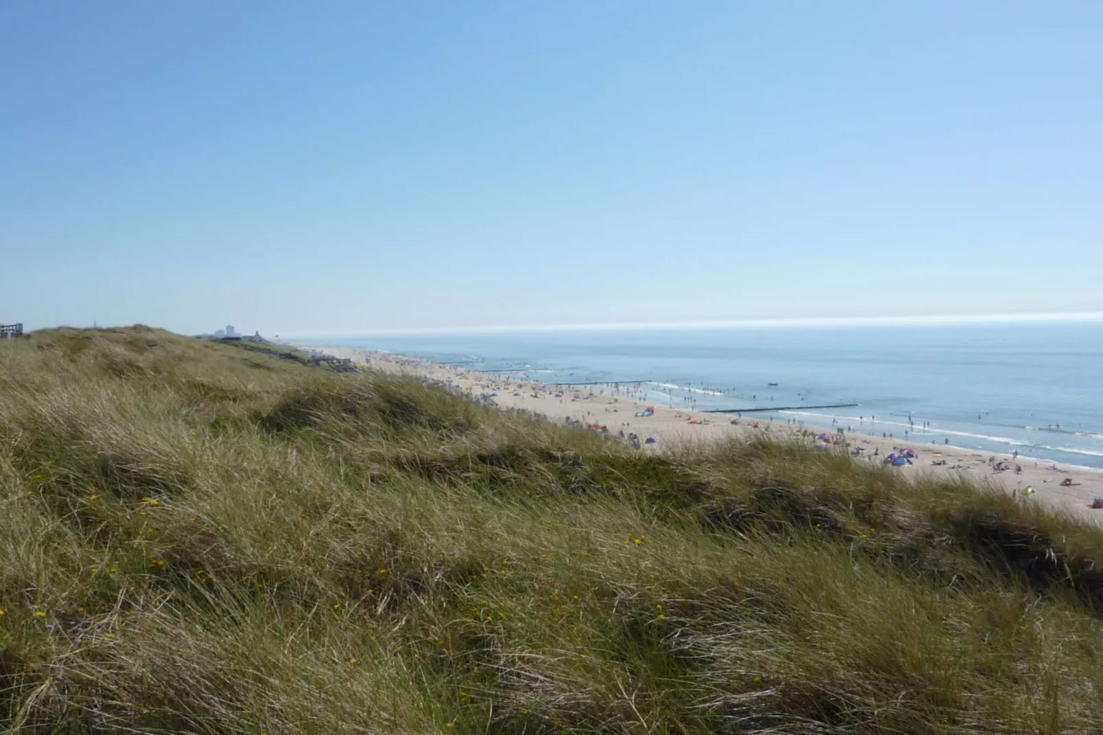 104214-Gebieden zomer 5km