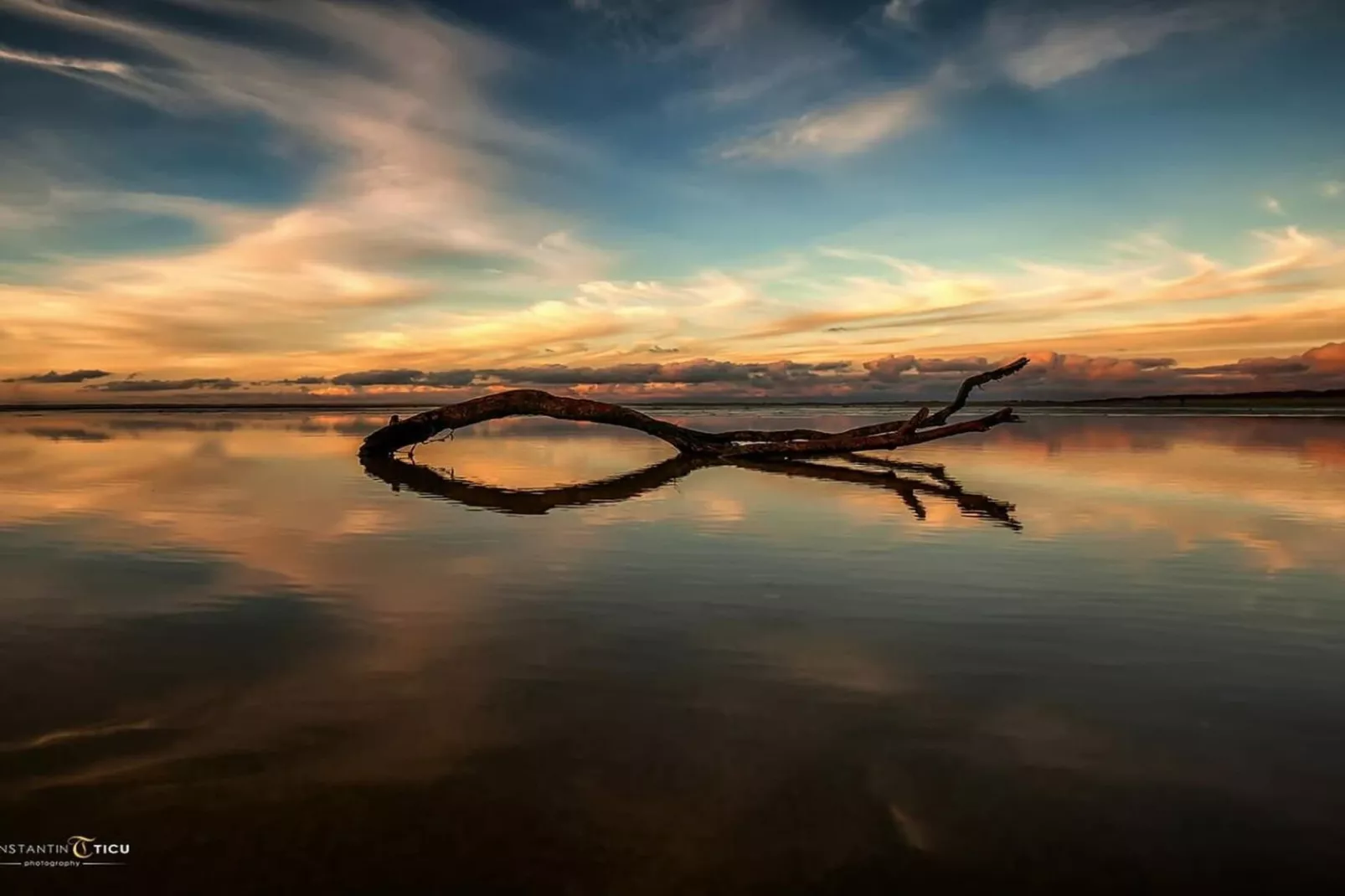 67705-Gebieden zomer 5km