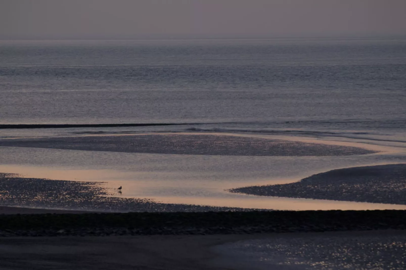 186401-Gebieden zomer 5km