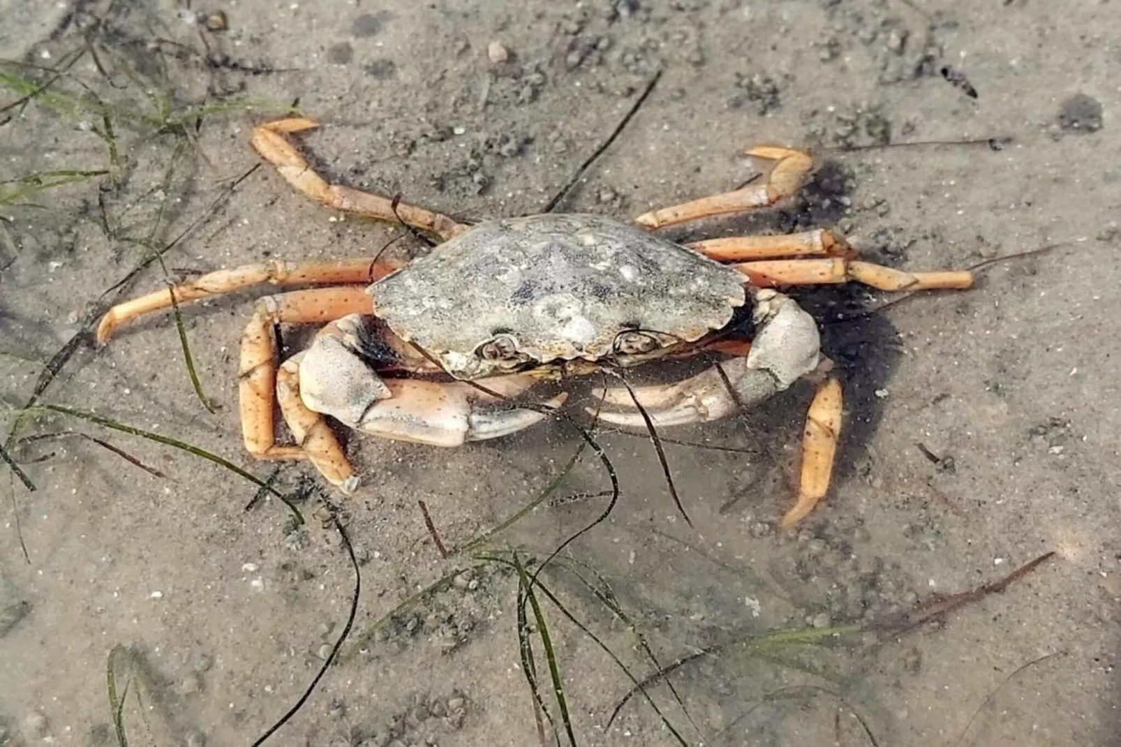 490310-Gebieden zomer 5km