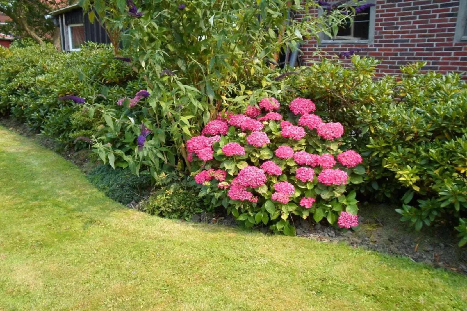 192494-Buitenkant zomer