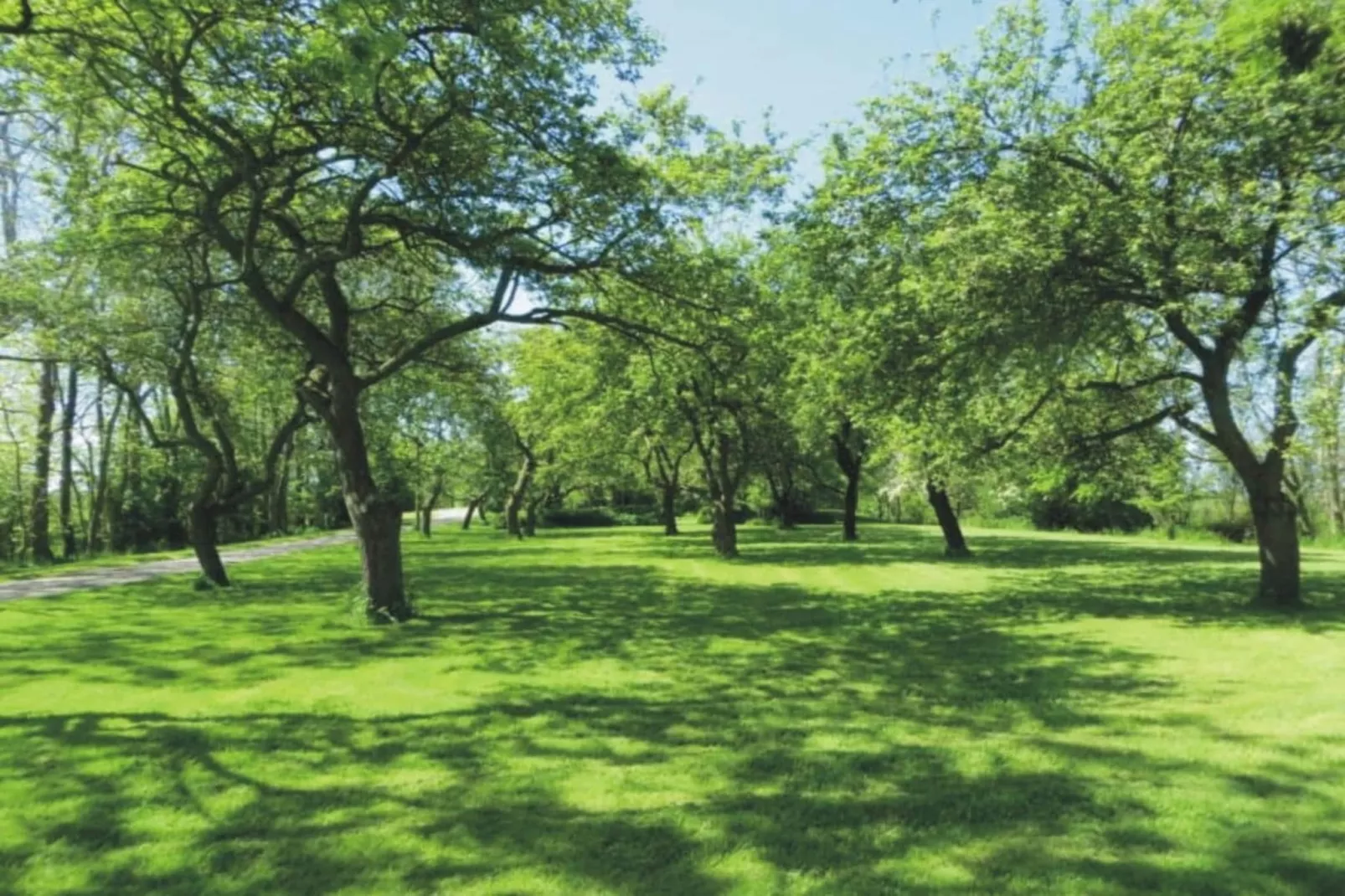 184619 - Tuinen zomer