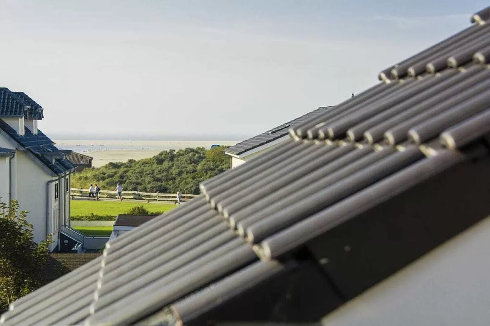 75895-Gebieden zomer 1km