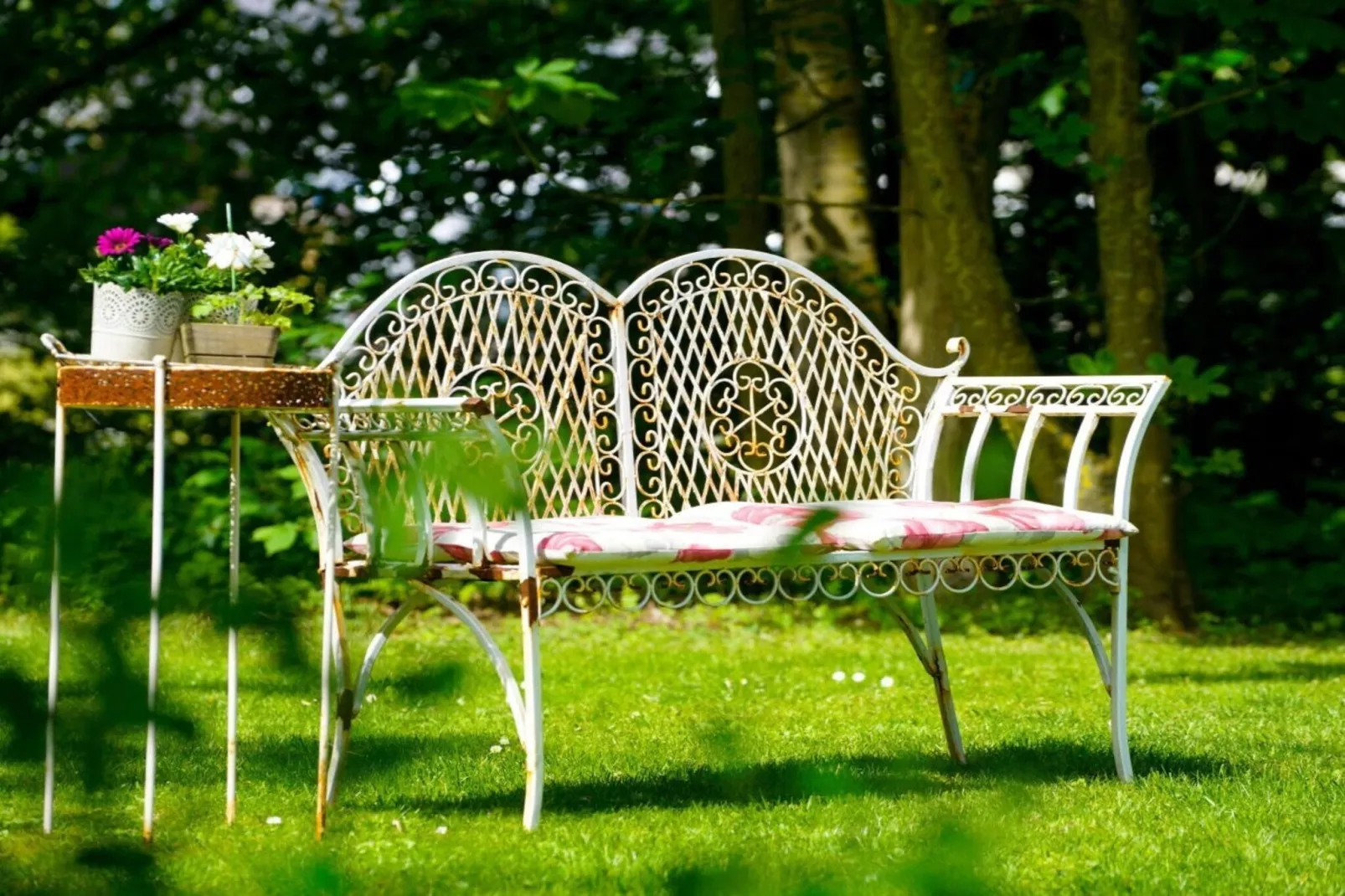 604282 - Tuinen zomer