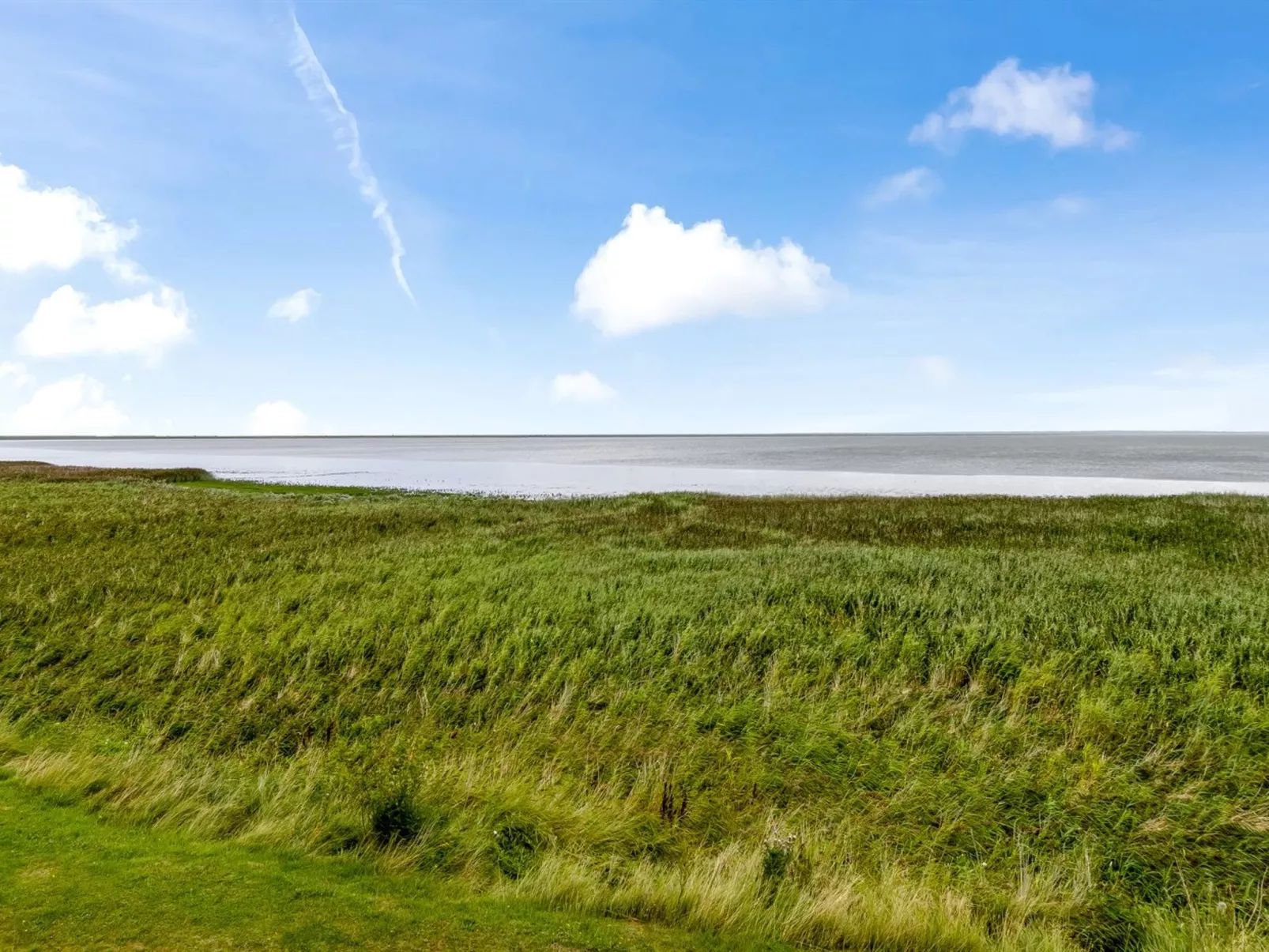 "Auwe" - 3.5km from the sea-Buiten