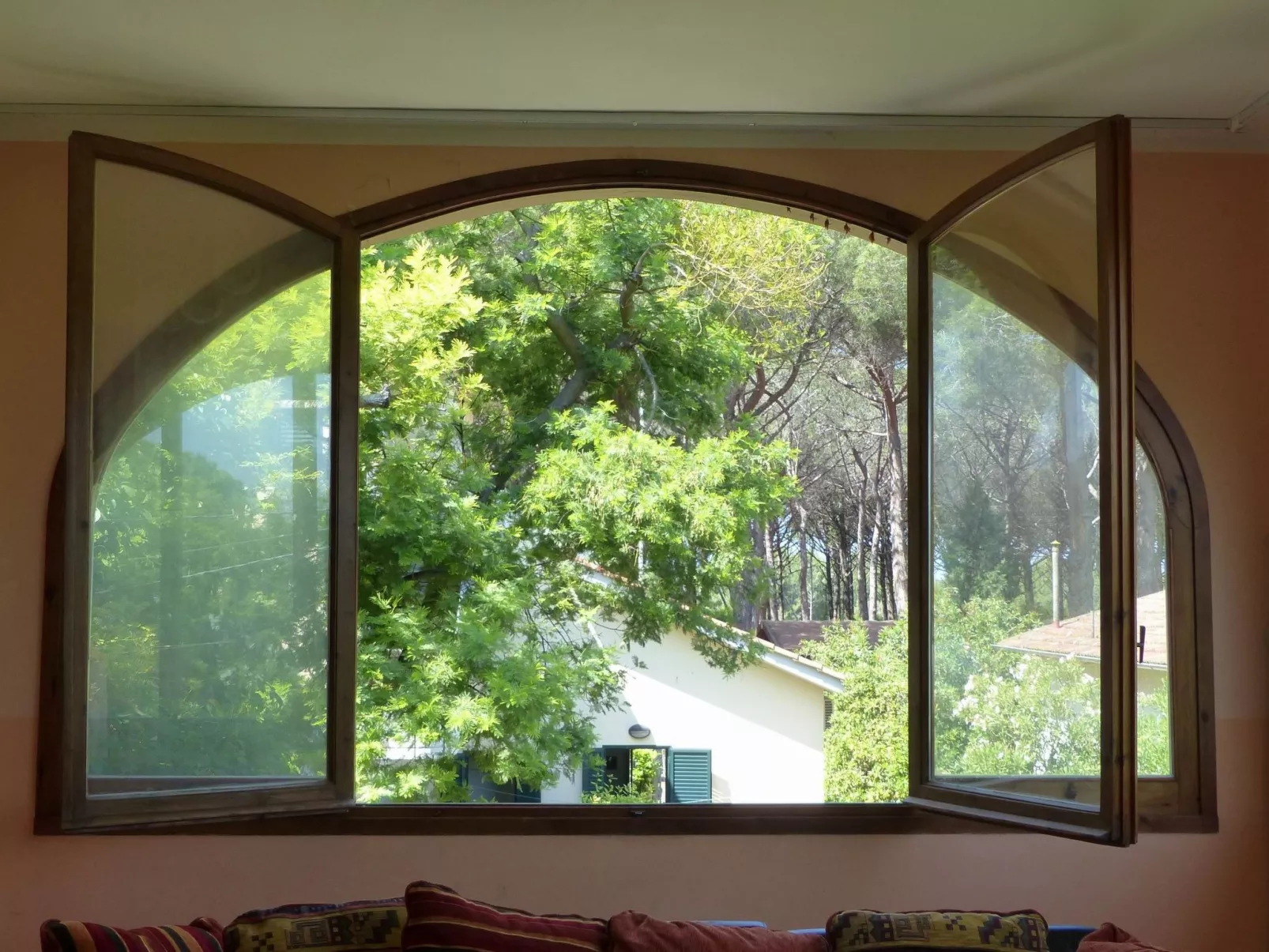 Große Wohnung in Mazzanta mit Schöner Terrasse - Image-tags.info