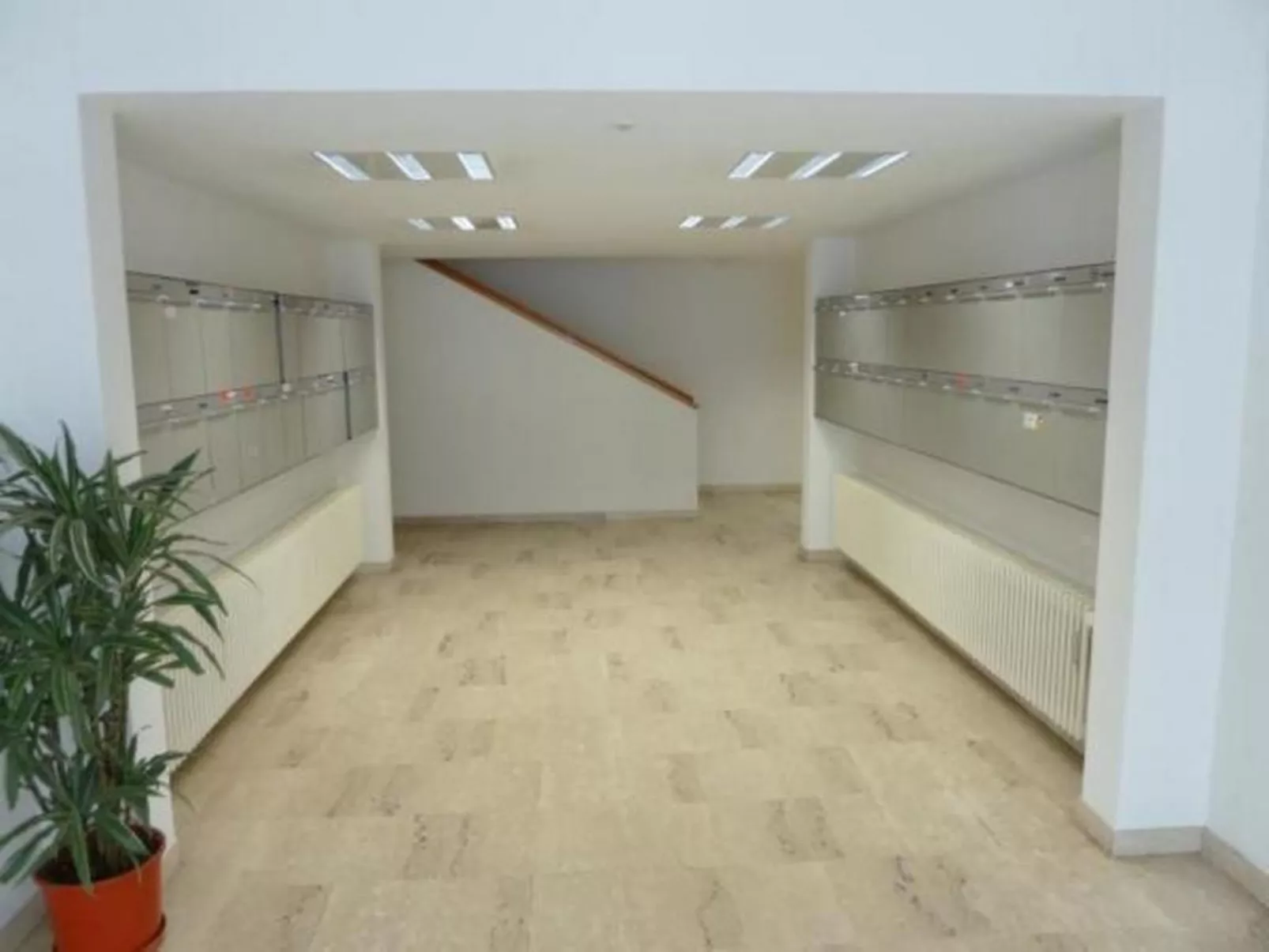 Derby 19 - Image-tags.info