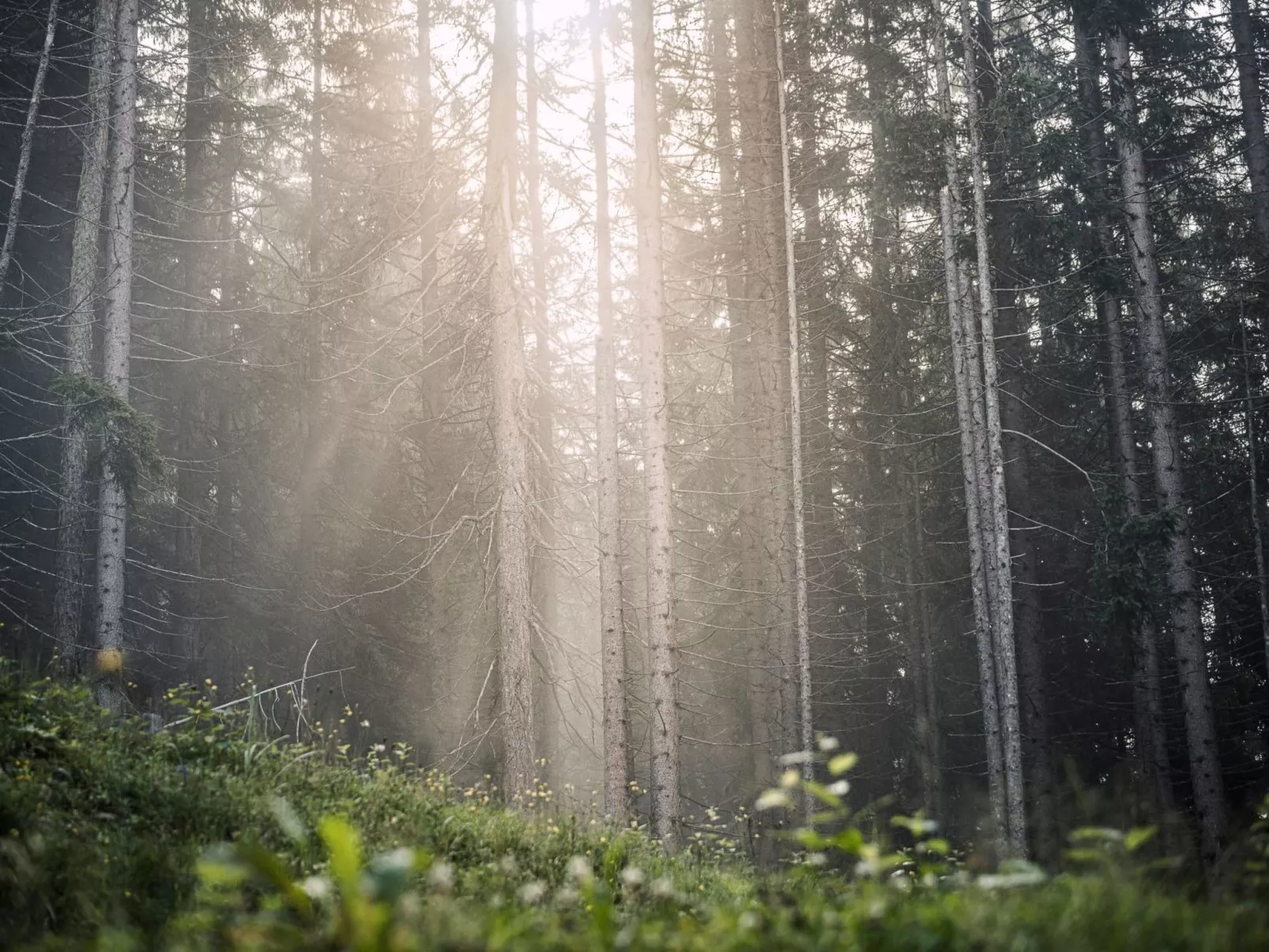 Berg Hütte Hochpillberg - Image-tags.info