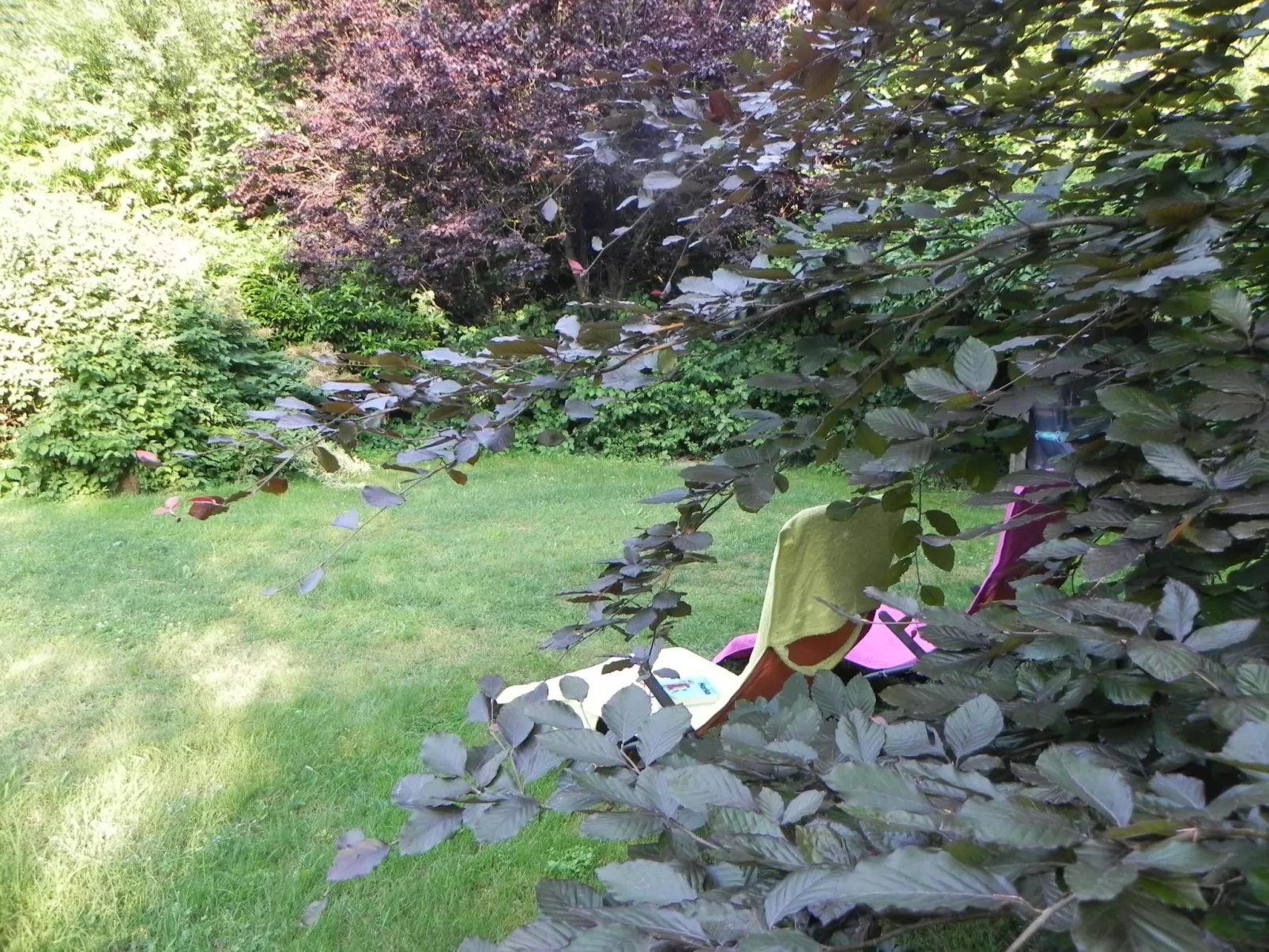 Zwei-Zimmer-Wohnung mit Wintergarten - Image-tags.info