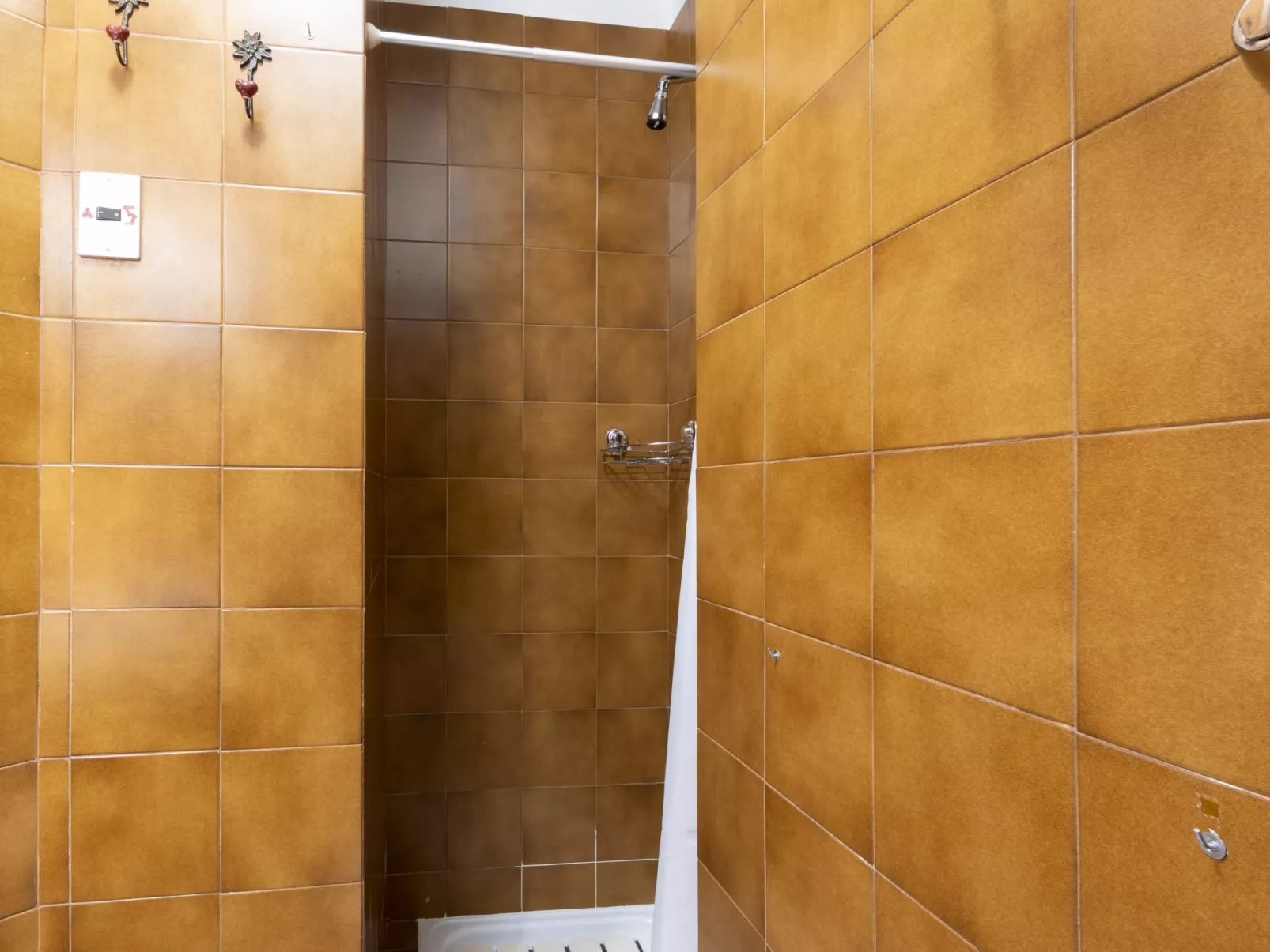 Diga Studio - Binnen