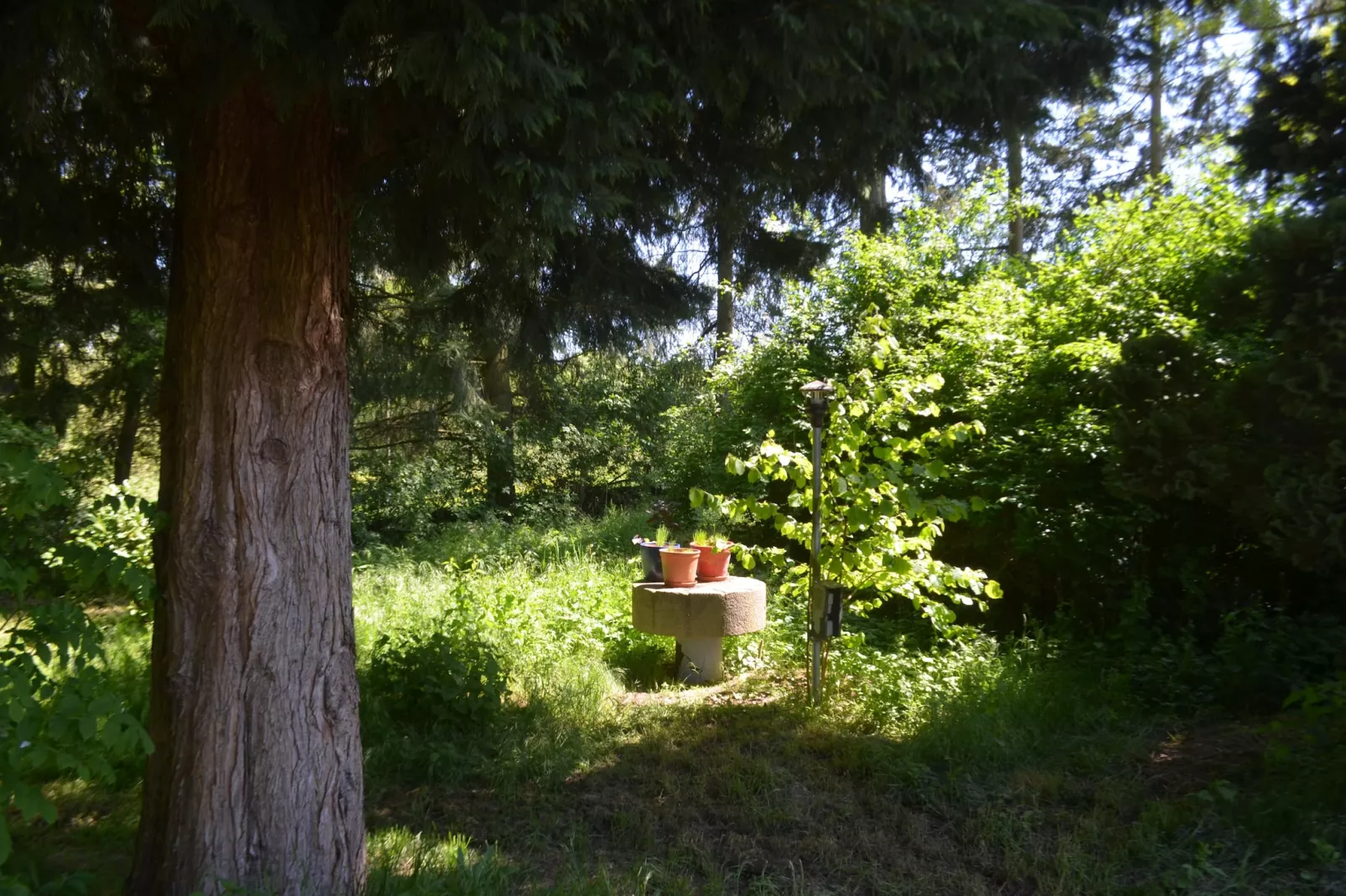 Gästehaus Kühne Fewo 1 OG-Tuinen zomer