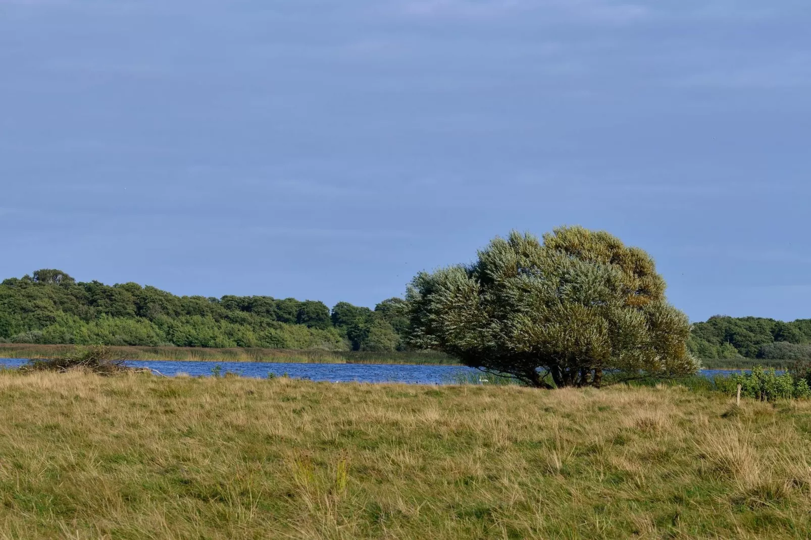 8 persoons vakantie huis in Ebeltoft-Waterzicht