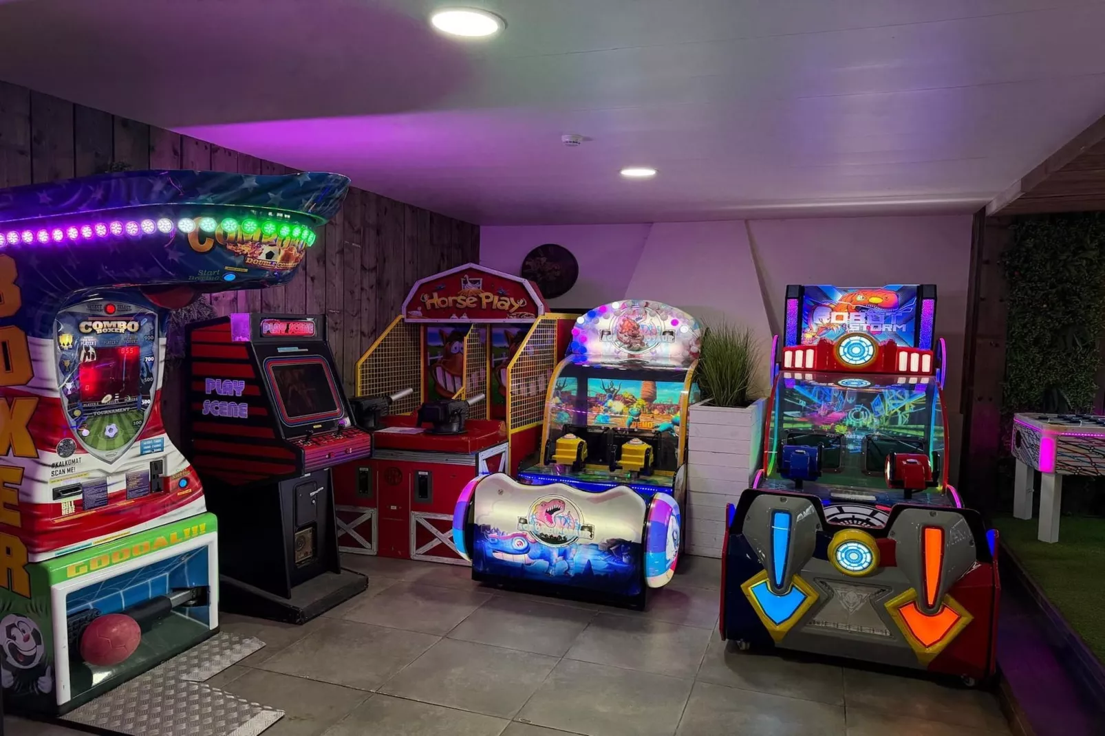 La Maison des Fleurs - Recreatieruimte