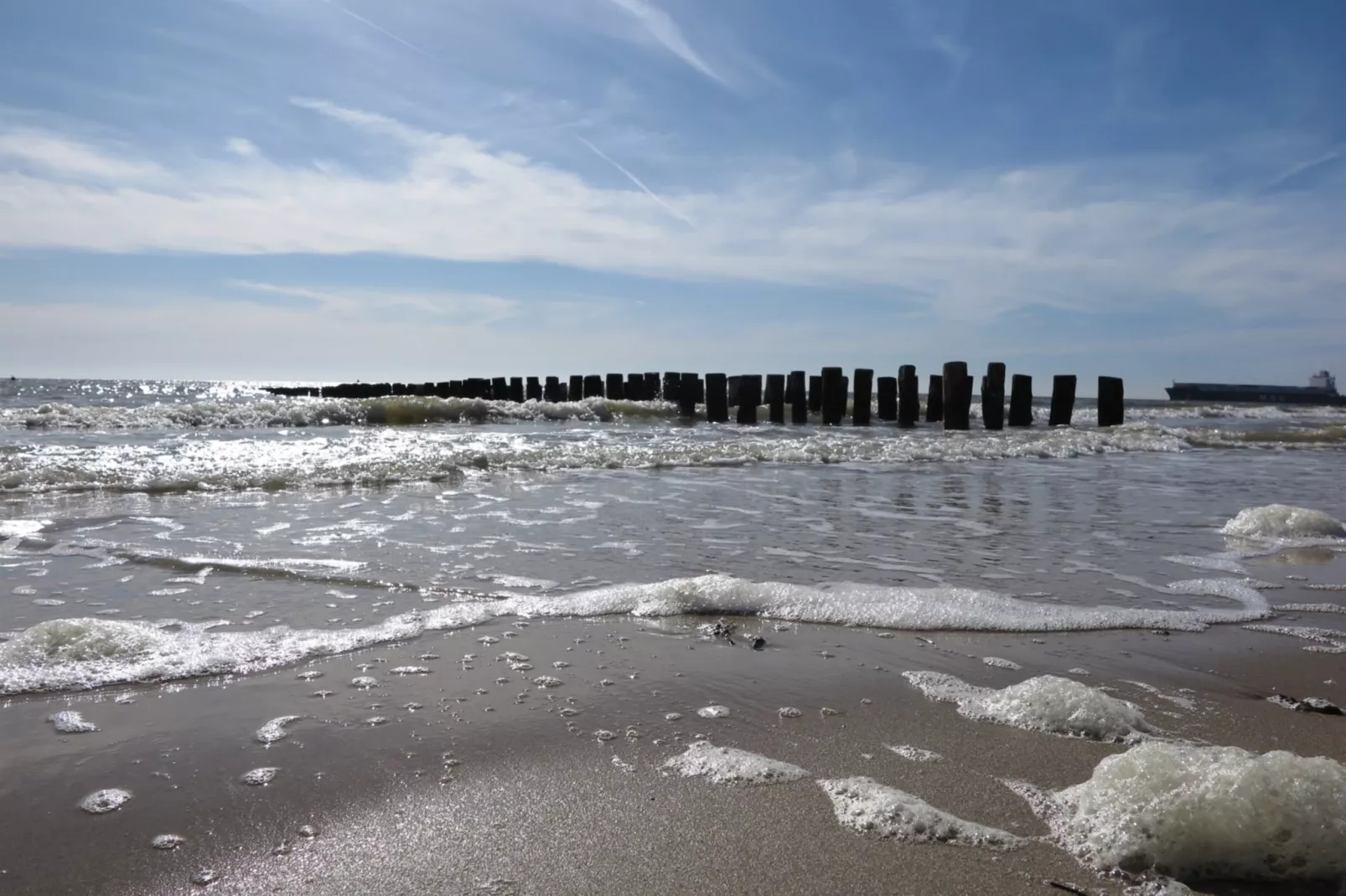 Slaapstrandhuisje - Strand dishoek 60 - Tuinen zomer