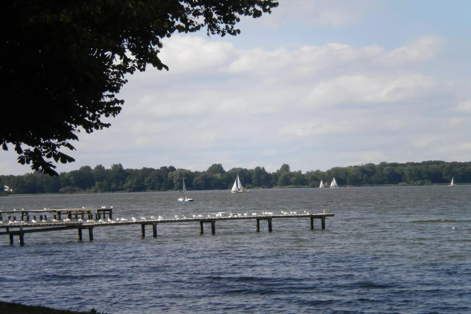 242843-Gebieden zomer 5km