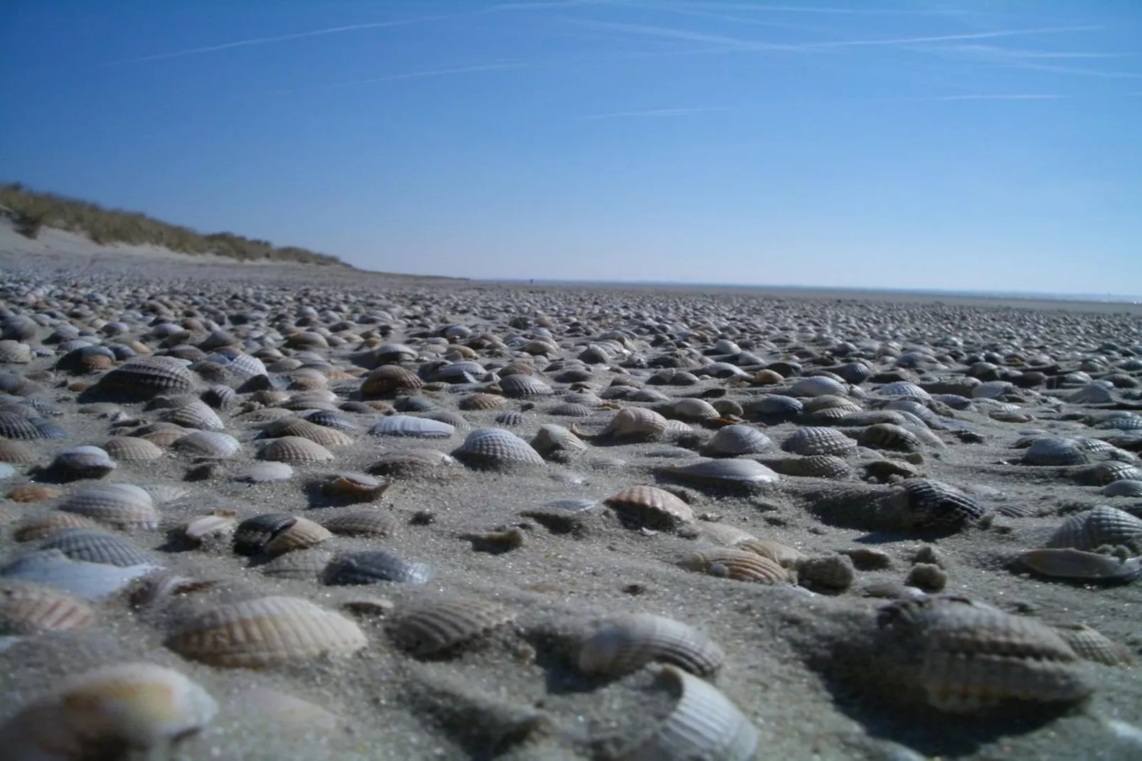 249875-Gebieden zomer 5km