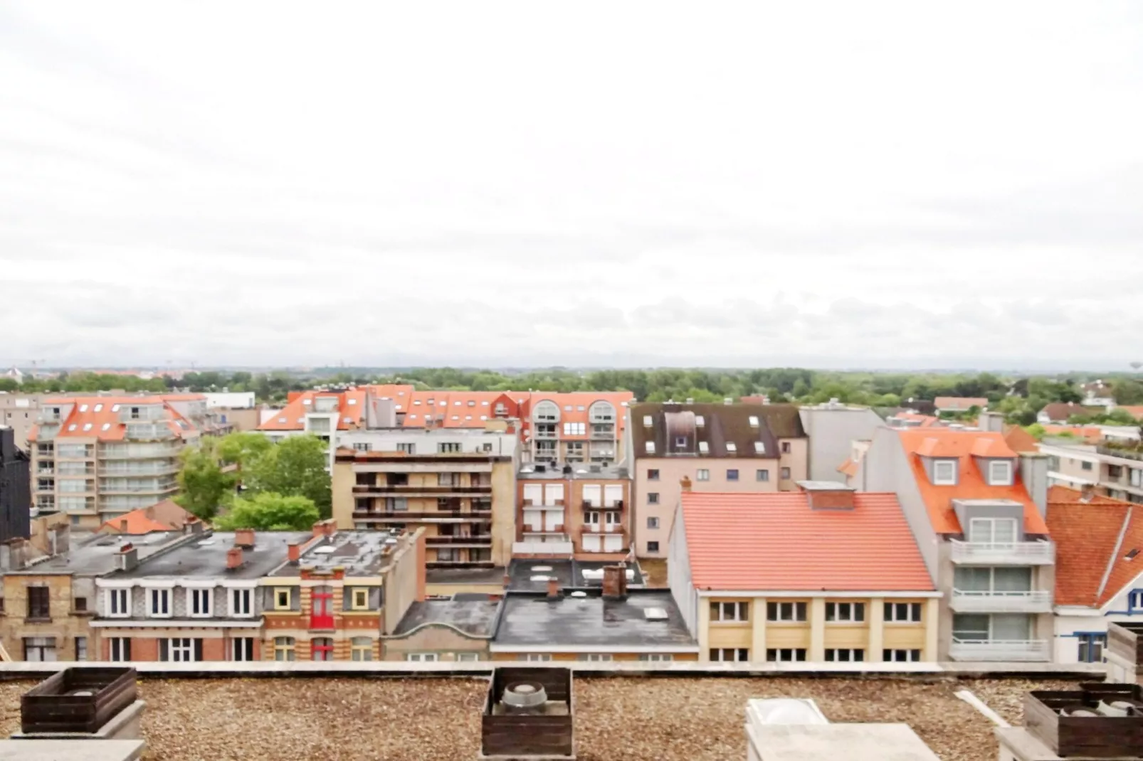 CASINO C-Gebieden zomer 1km