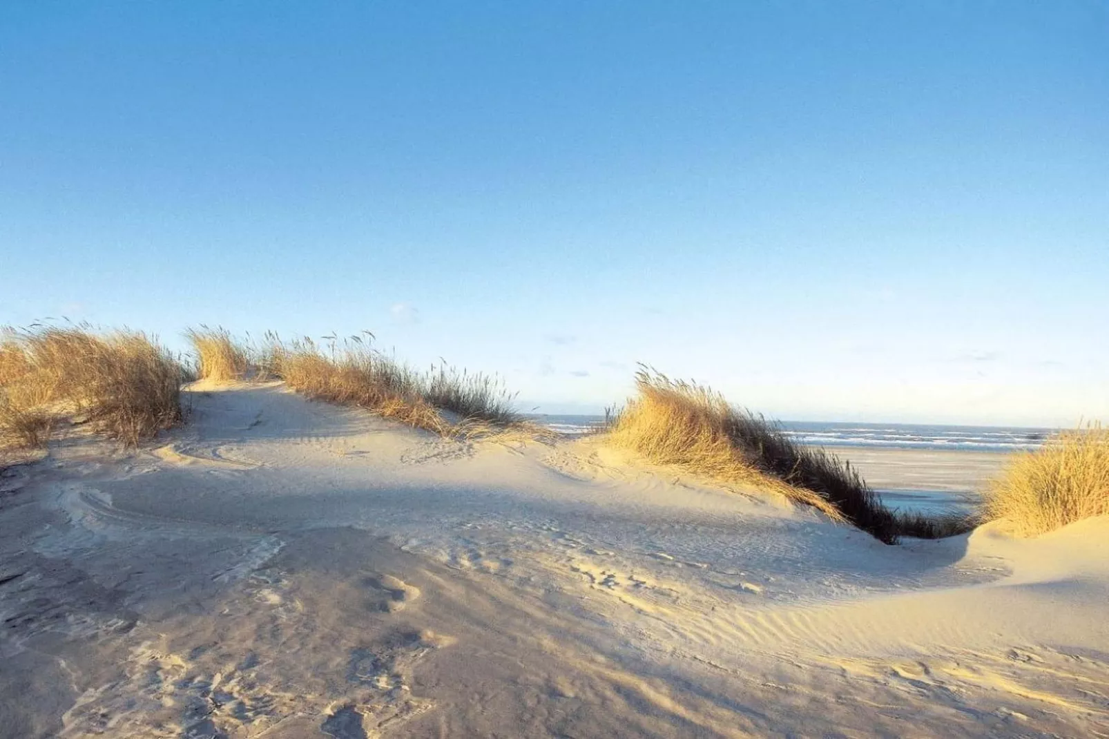 180870-Gebieden zomer 5km