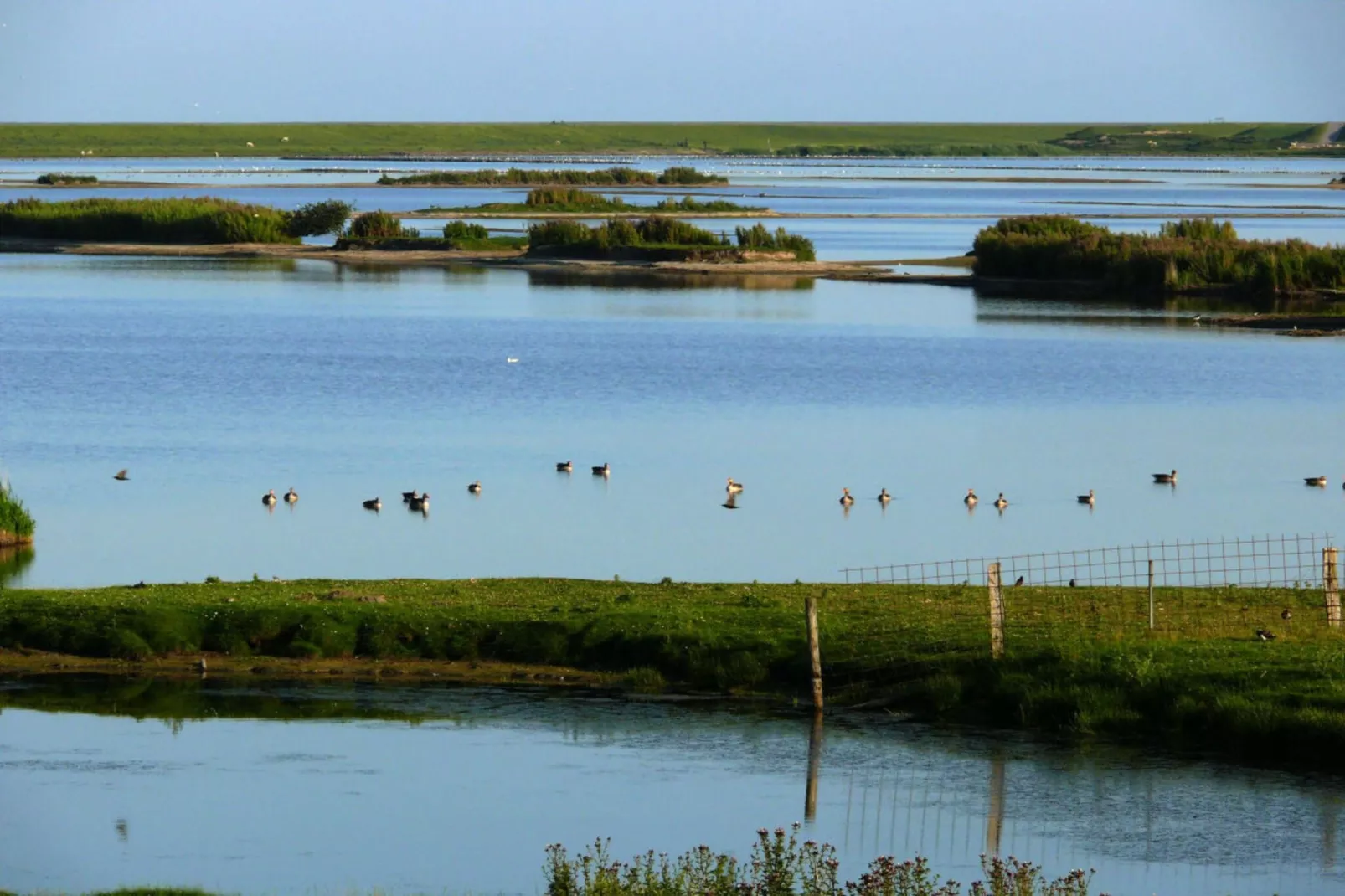 88009-Image-tags.water view