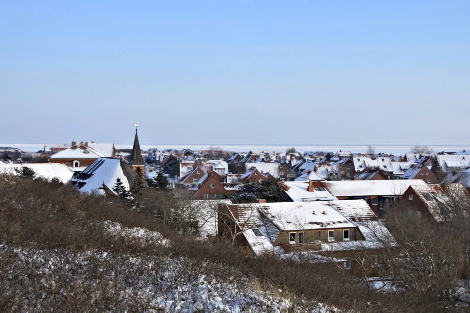 166902-Gebieden zomer 1km
