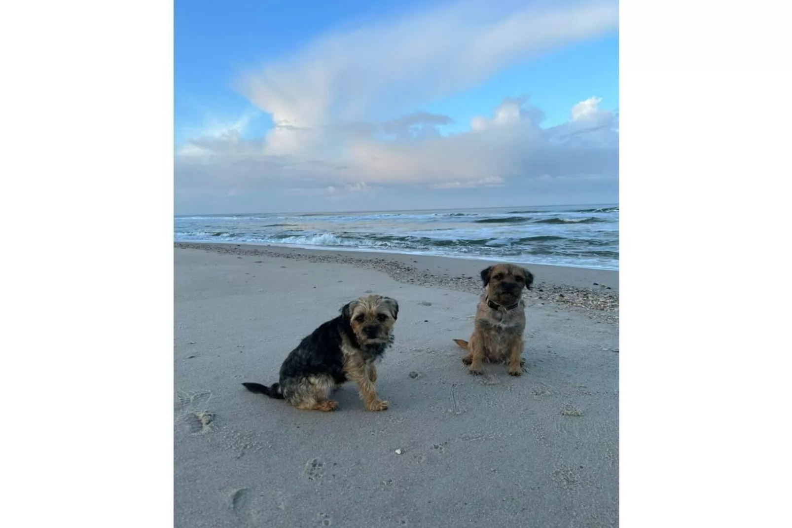 393597-Gebieden zomer 5km