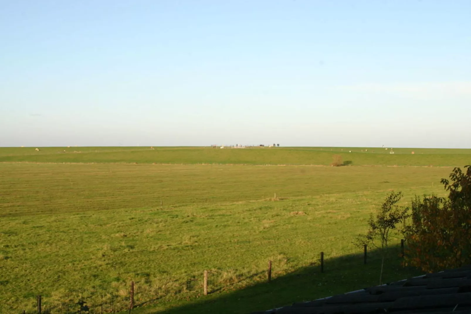 191412-Gebieden zomer 5km