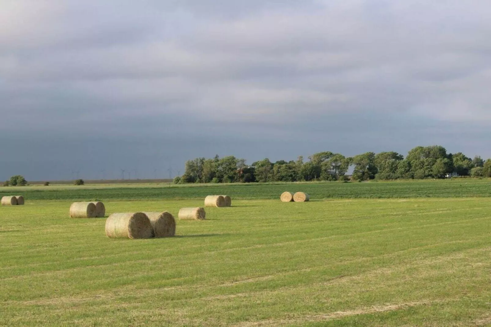 490310-Gebieden zomer 5km