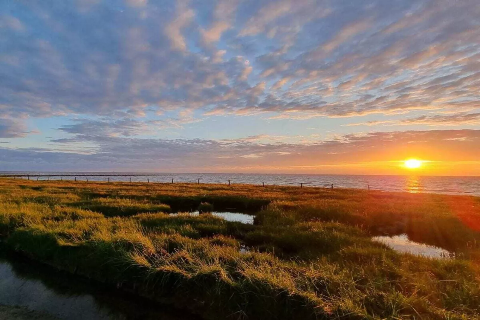 487221-Gebieden zomer 5km