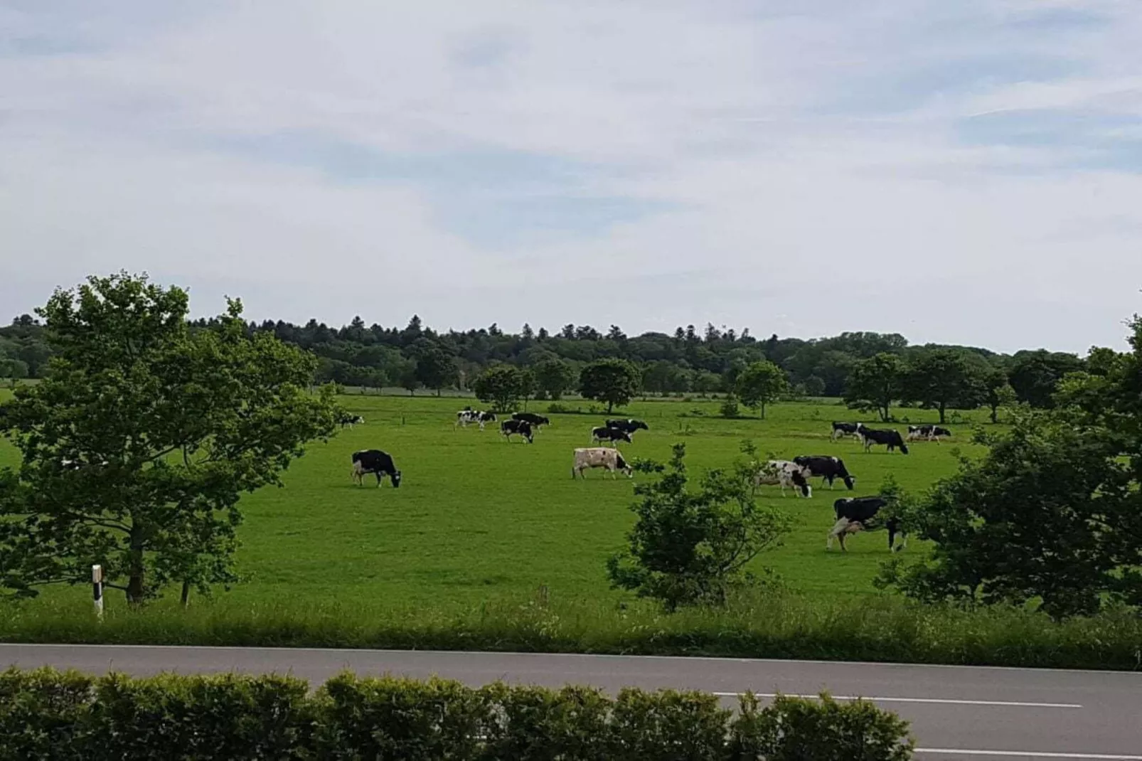 271353 - Tuinen zomer