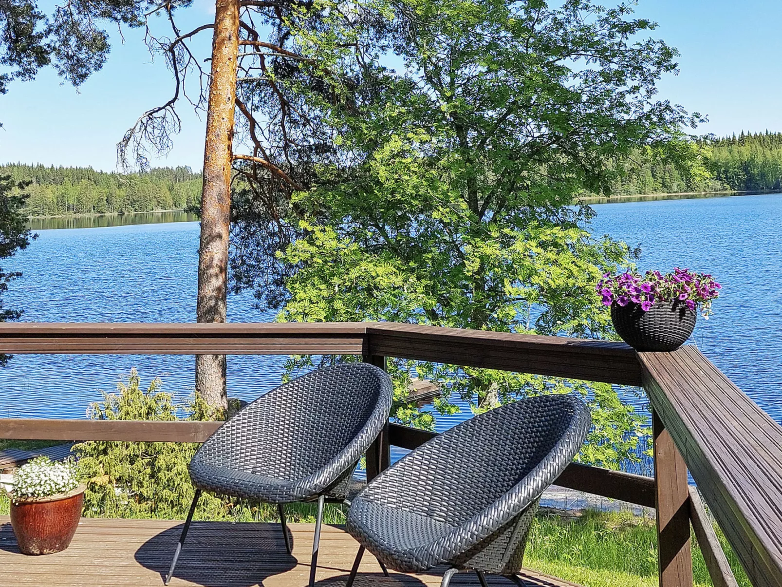 Petäjälahti-Binnen