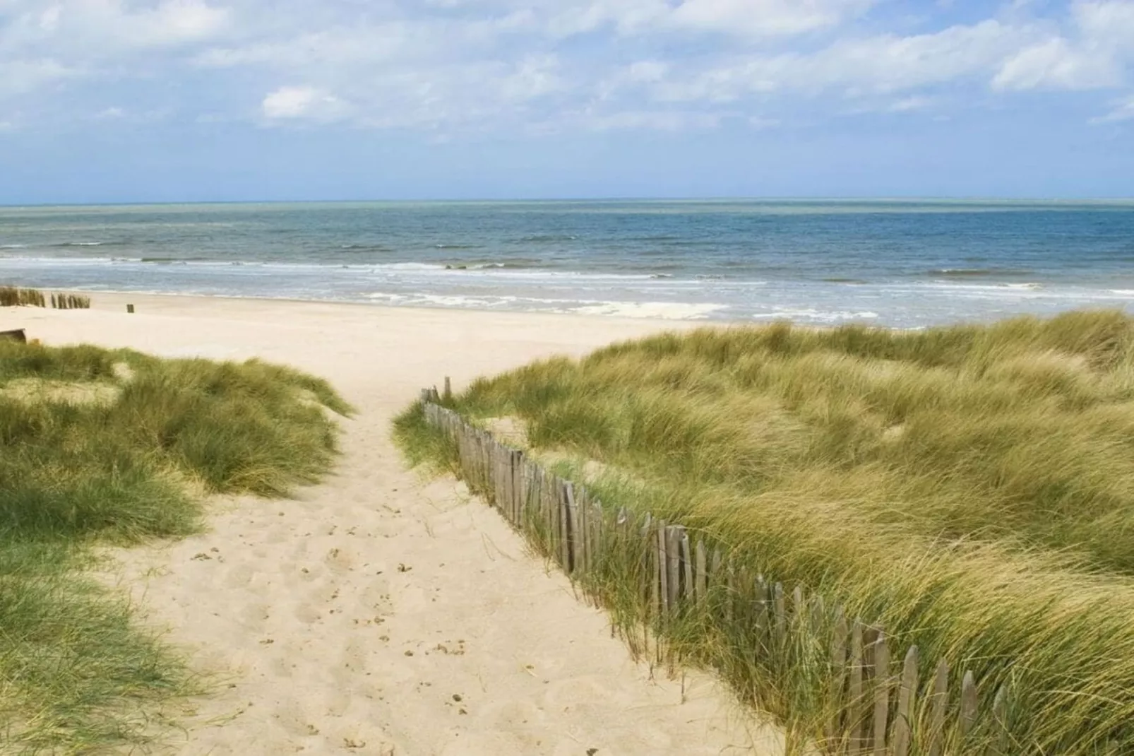 381616-Gebieden zomer 5km