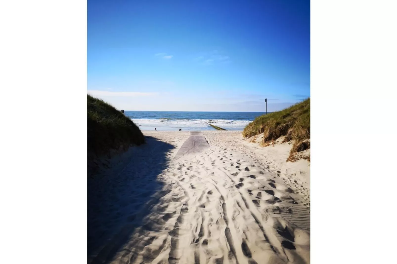 621216 - Gebieden zomer 5km