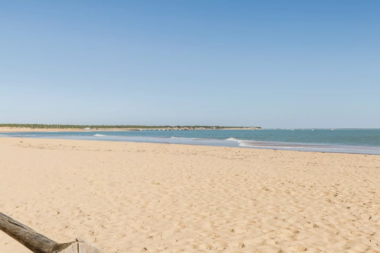 L Ocean N°40 - 2P5-Gebieden zomer 1km