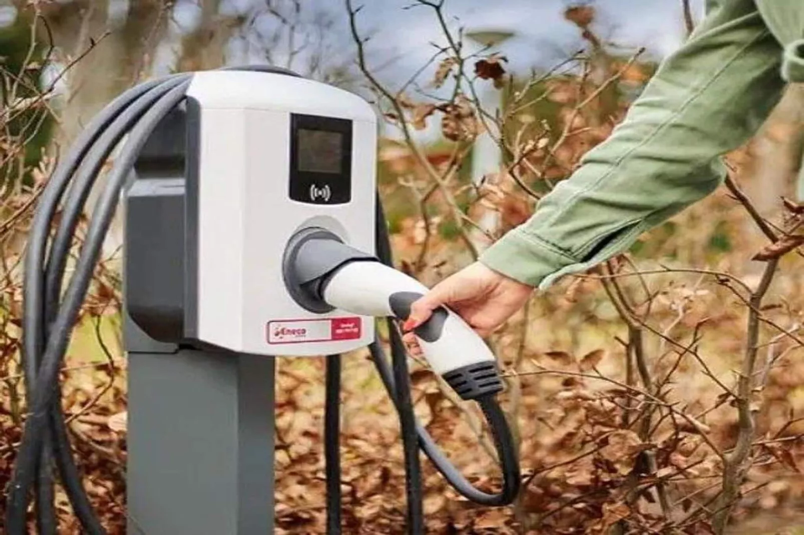 O'Hara Lodges - 4p-Faciliteiten