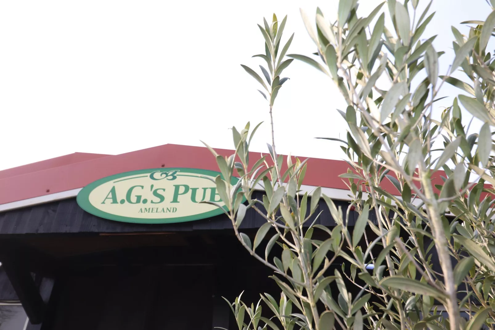 Duinchalet-Faciliteiten