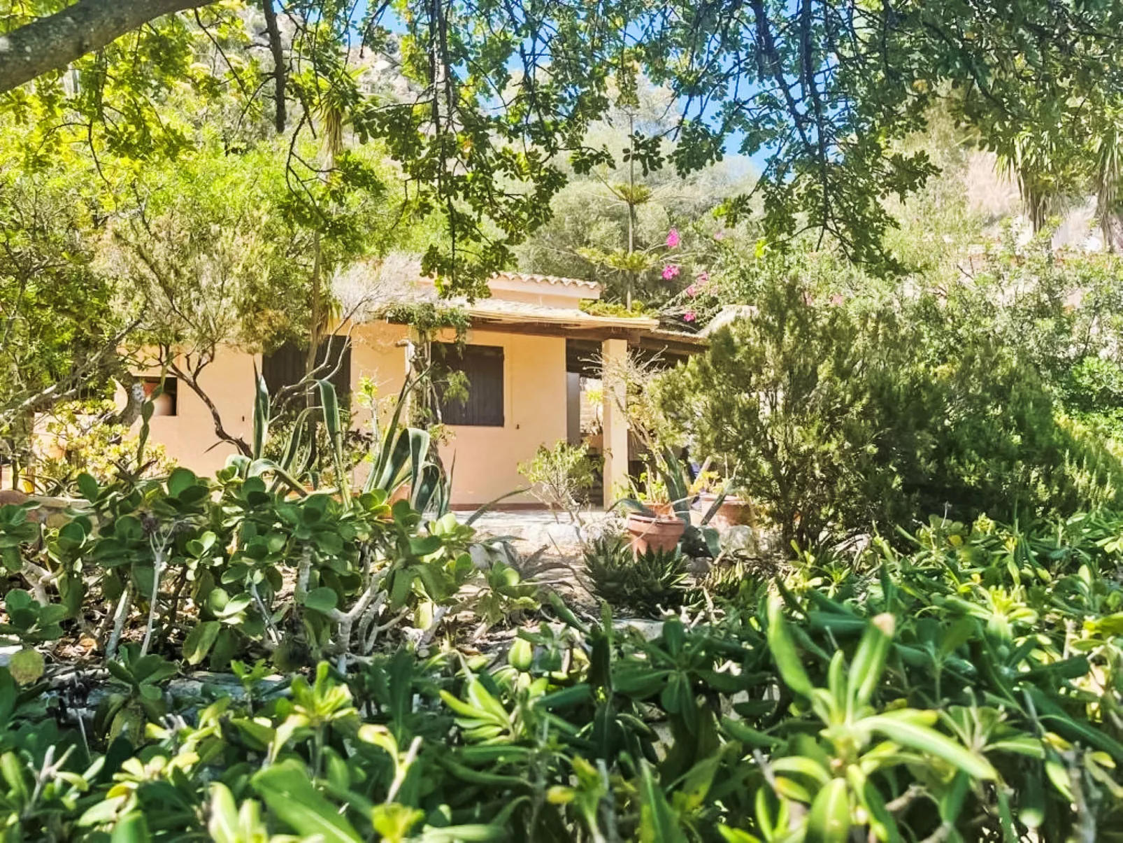 Casa Pellicano-Buiten