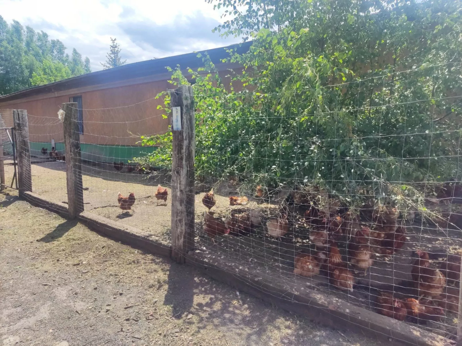 Am Hofladen Hellendorf - Sächsische Schweiz - Image-tags.info