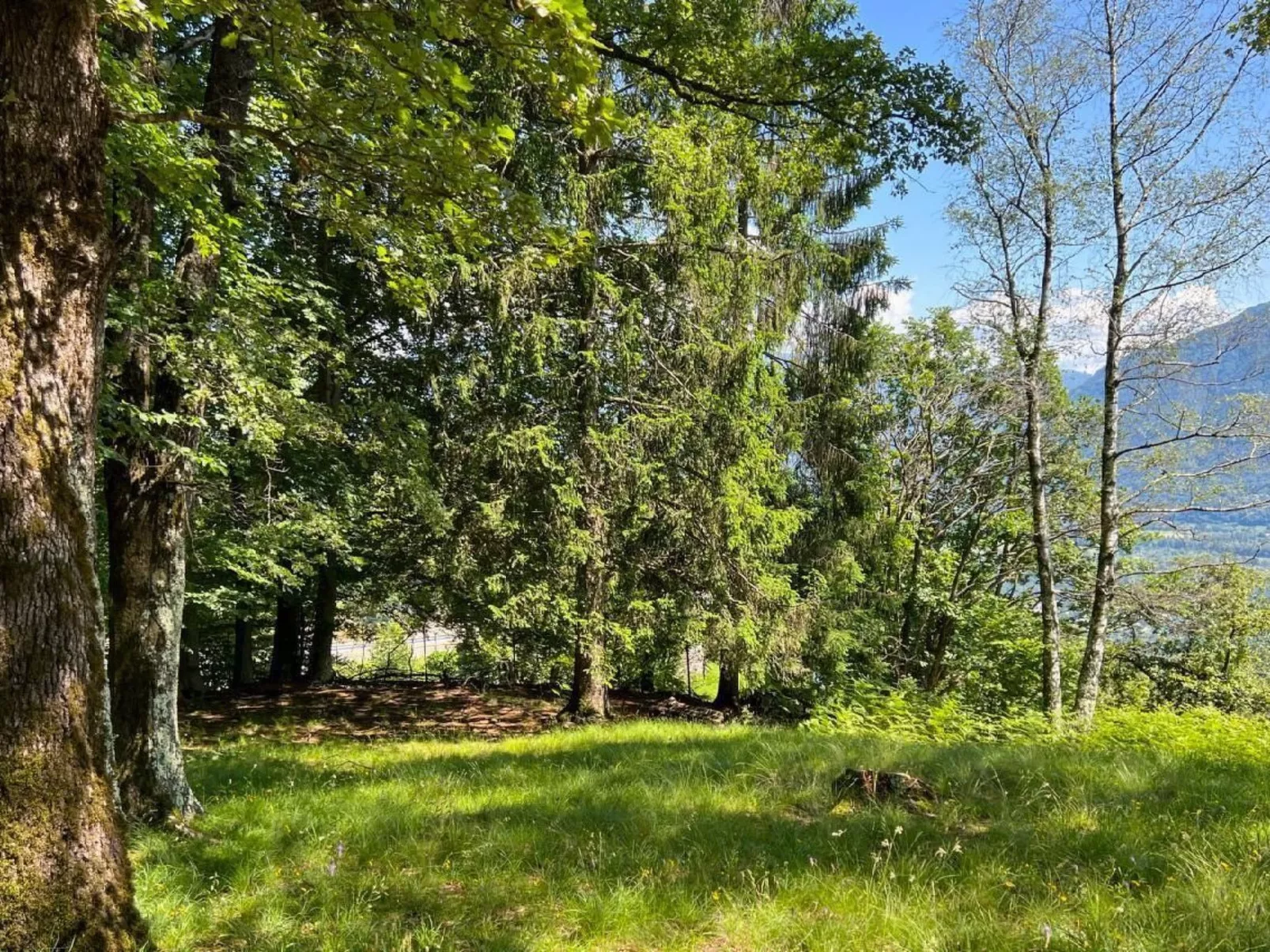 Rustico Eremo Rico - Image-tags.info