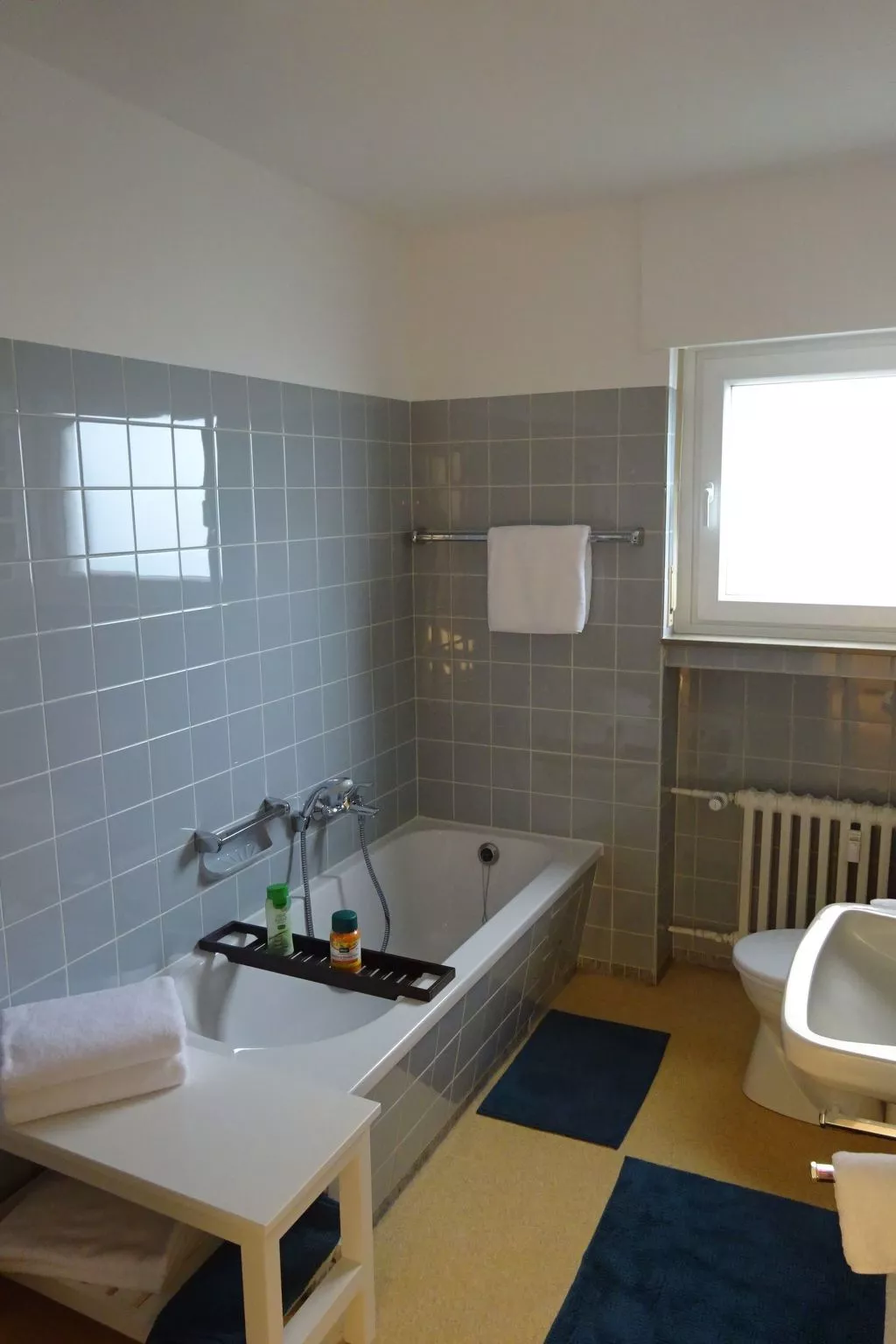 Großzügige Wohnung mit Terrasse und Rheintalblick - Image-tags.info