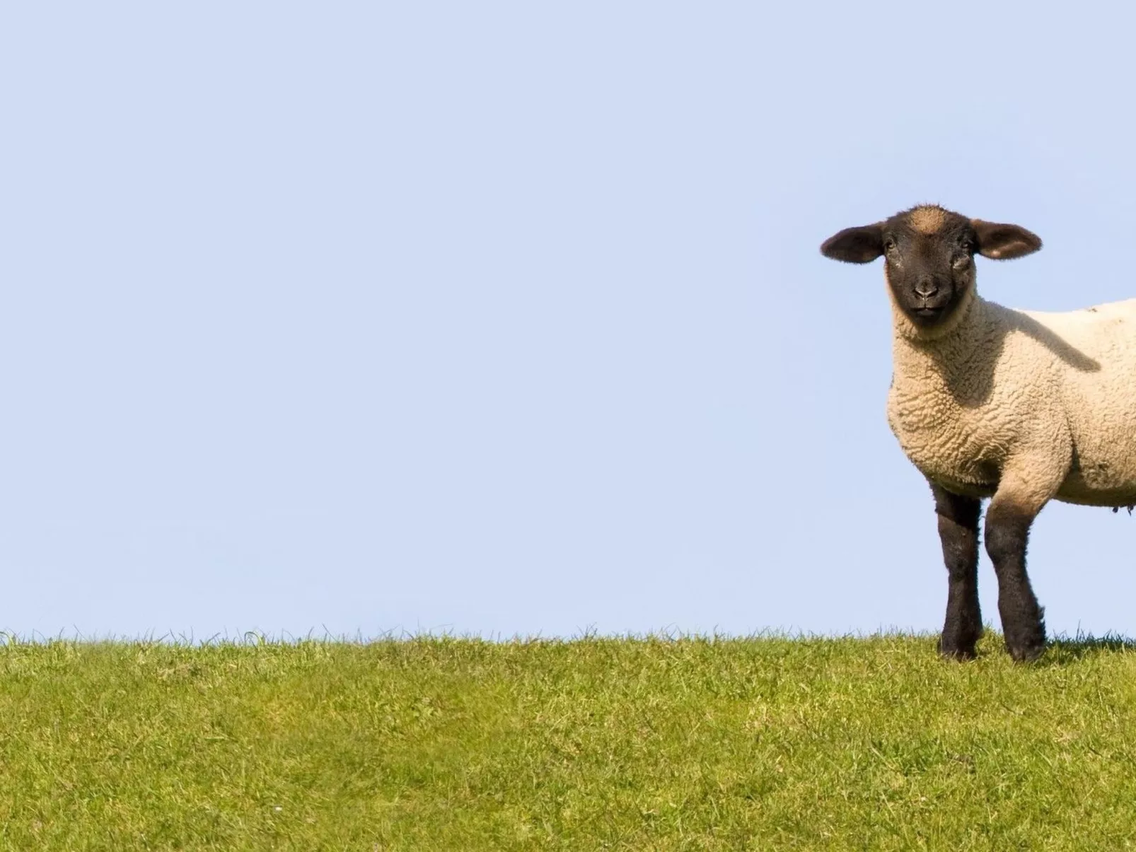 Elbufer 4B - Image-tags.info