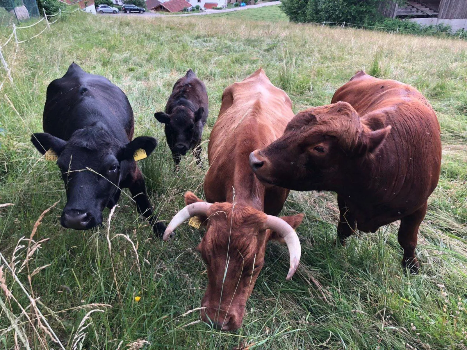 Tälerblick 2 - Image-tags.info