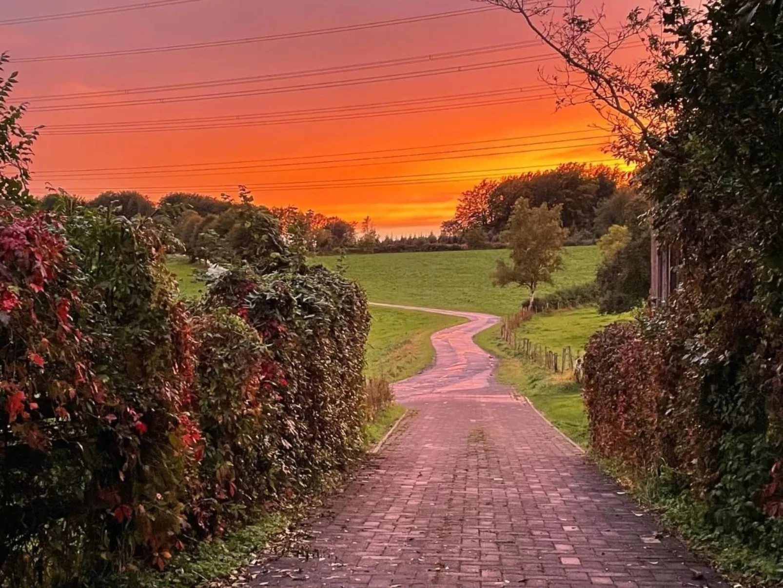 Annika-Image-tags.info