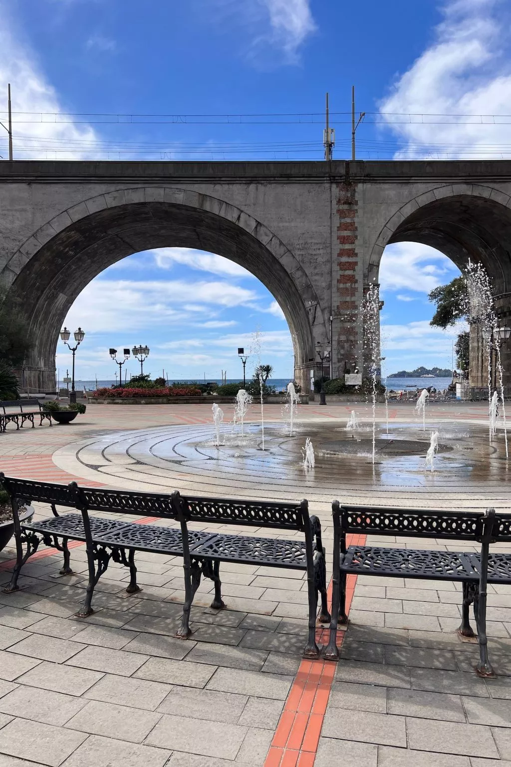 Pitosforo - Image-tags.info