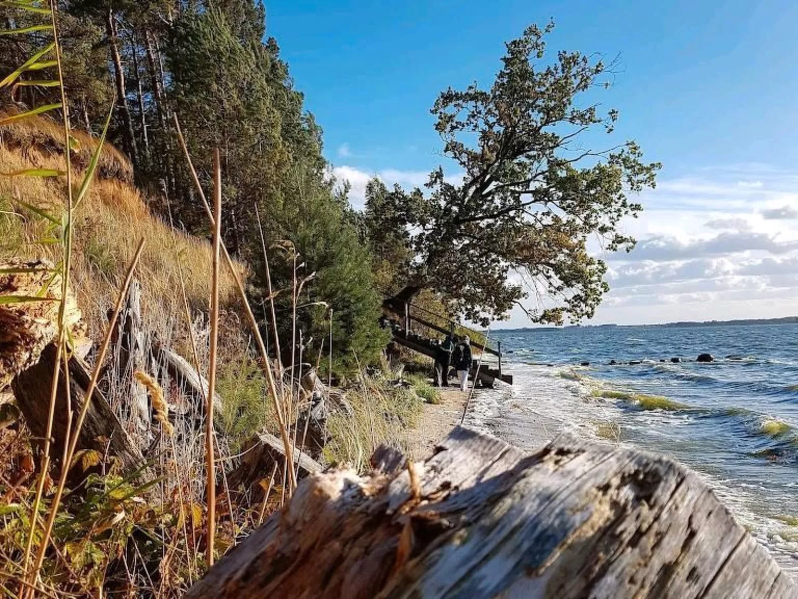 2 Personen  Hund willkommen - Image-tags.info