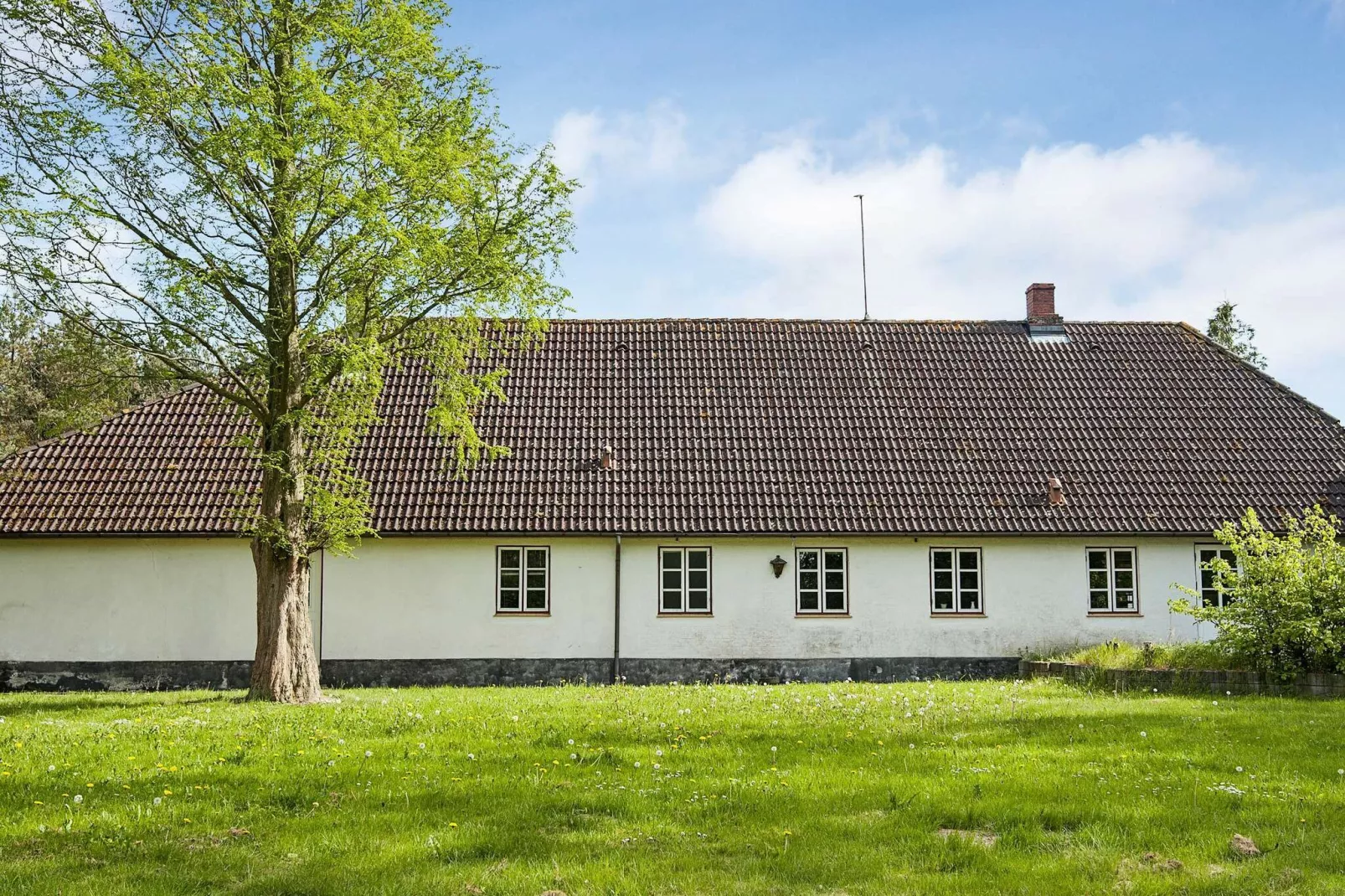 12 persoons vakantie huis in Nordborg-Buitenlucht