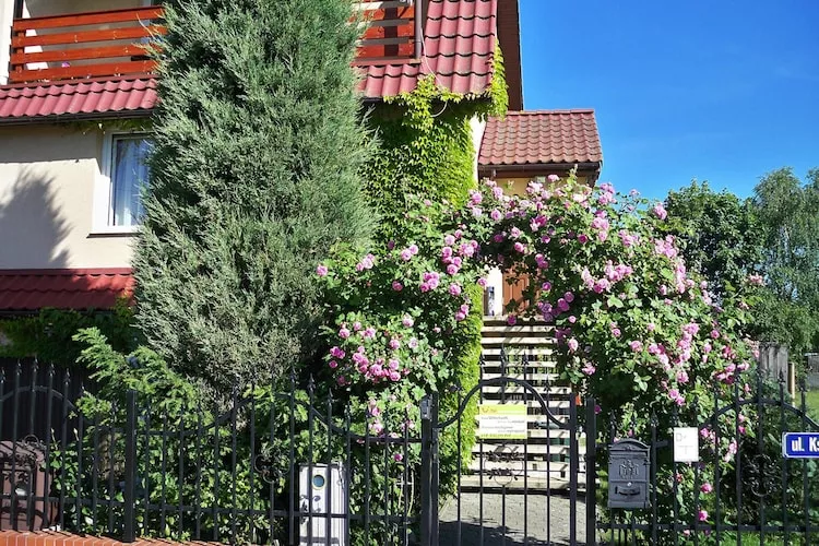 Dom wakacyjny w Stepnicy 7 osób - Buitenkant zomer