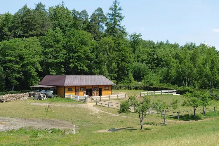 Apartments Rekowo 30 qm-Tuinen zomer